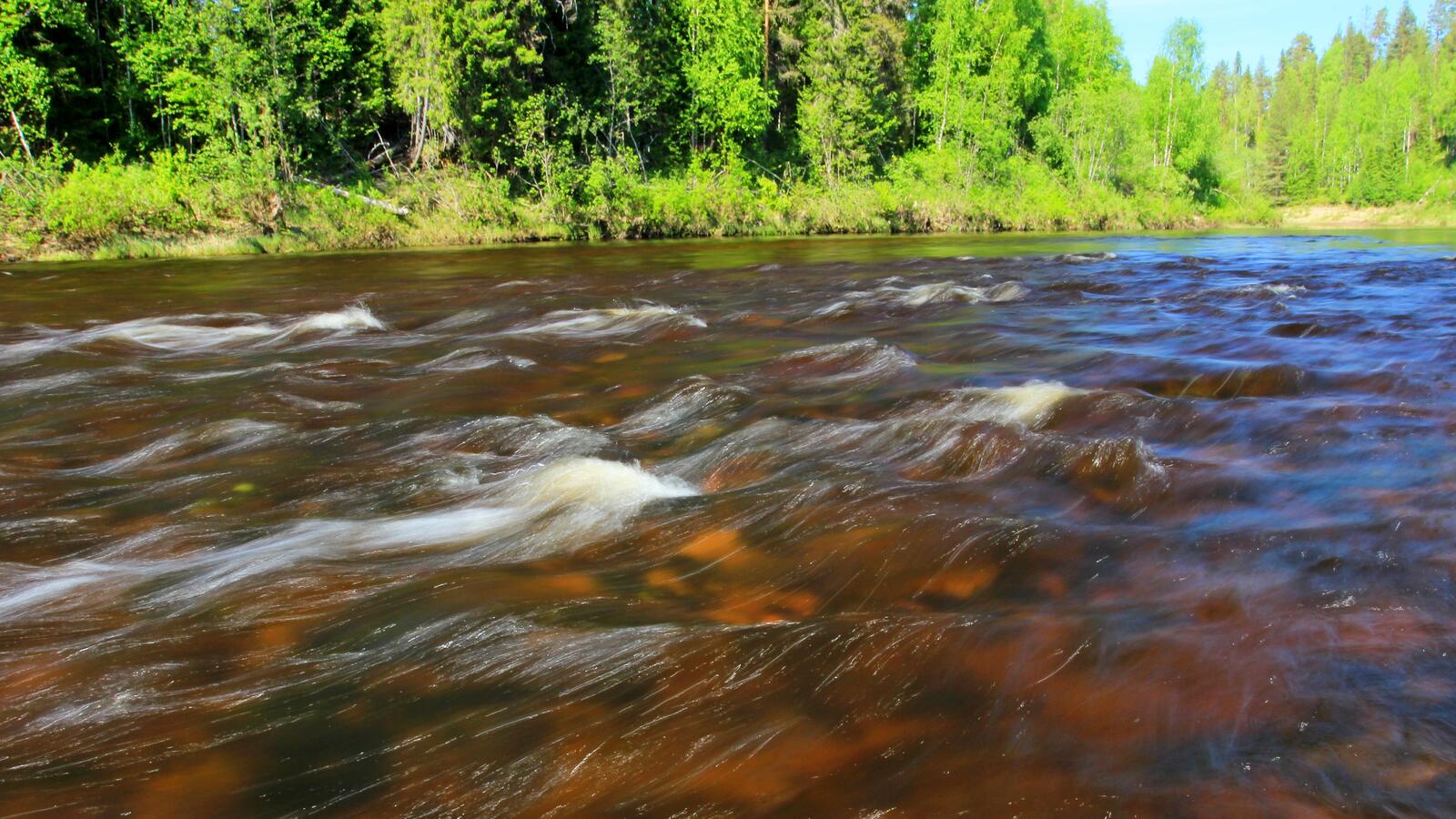 Free photo River rapids