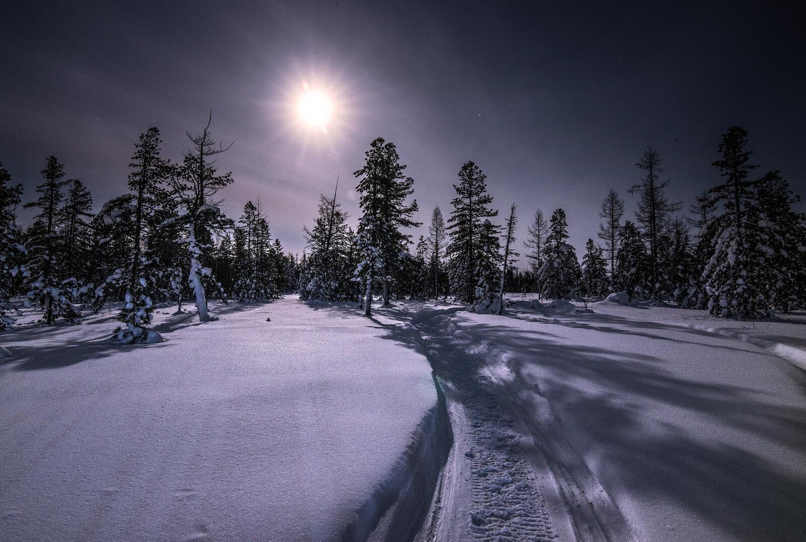 Бесплатное фото След от снегохода на ночном поле
