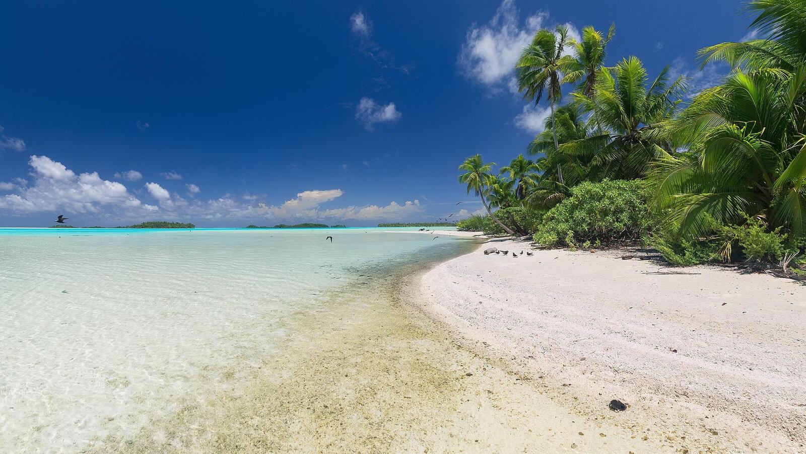 Wallpapers Rangiroa atoll French Polynesia sea on the desktop