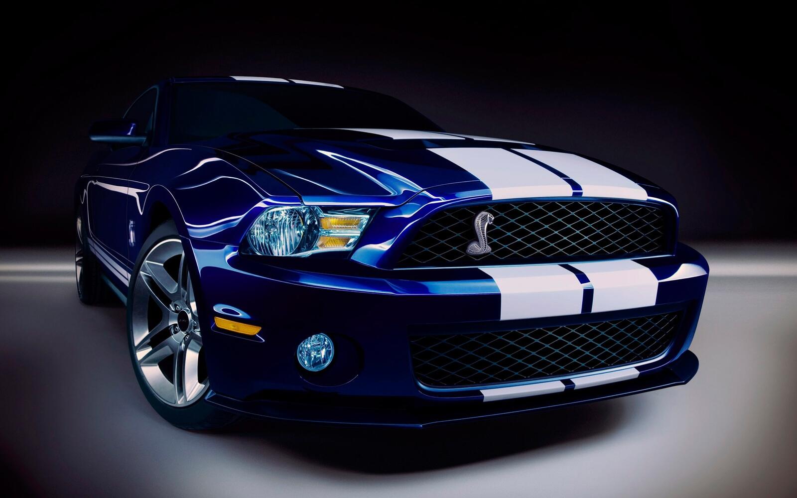 Wallpapers wallpaper ford mustang shelby front view supercar on the desktop