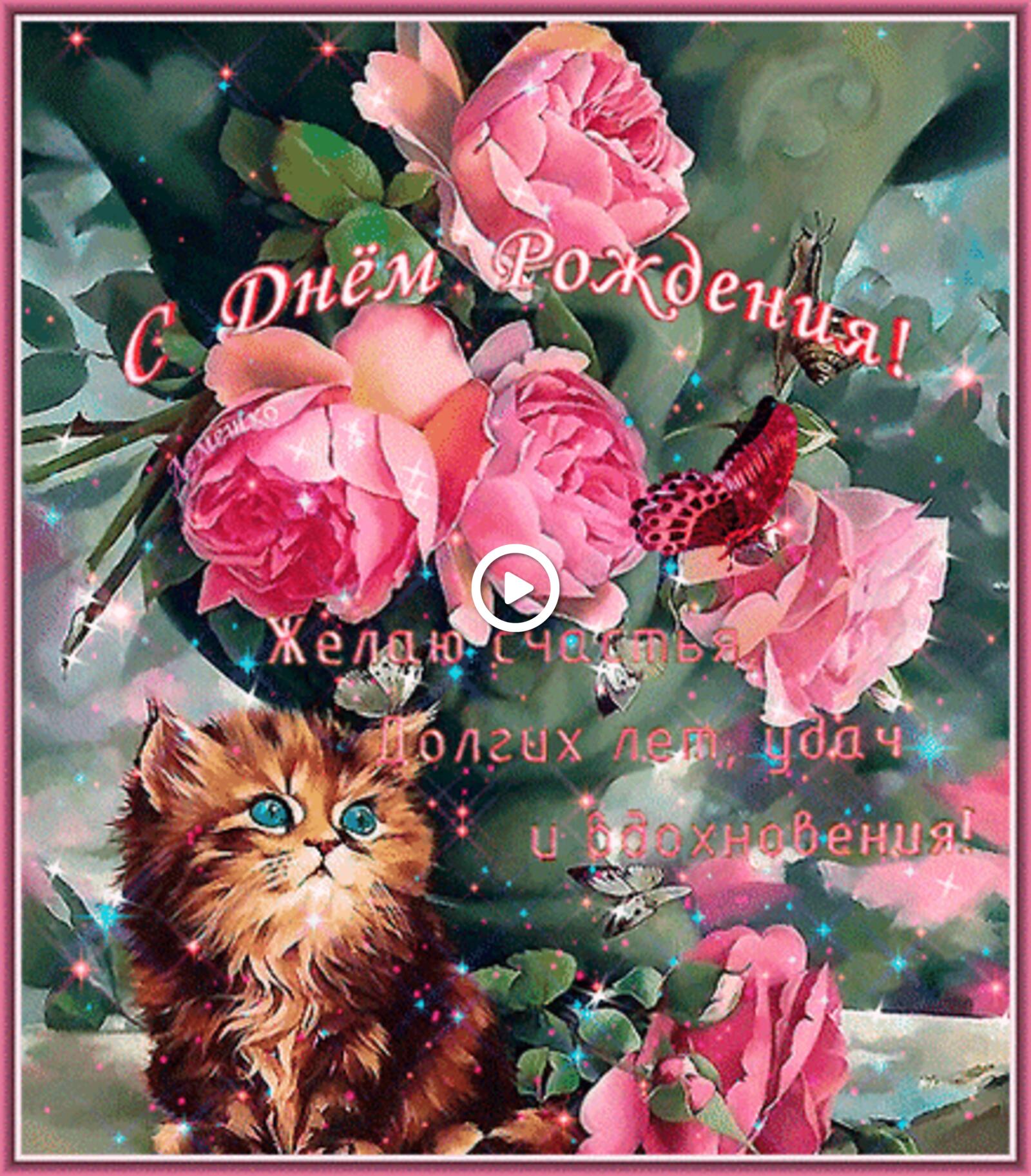 一张以粉红玫瑰 生日快乐 蝴蝶为主题的明信片