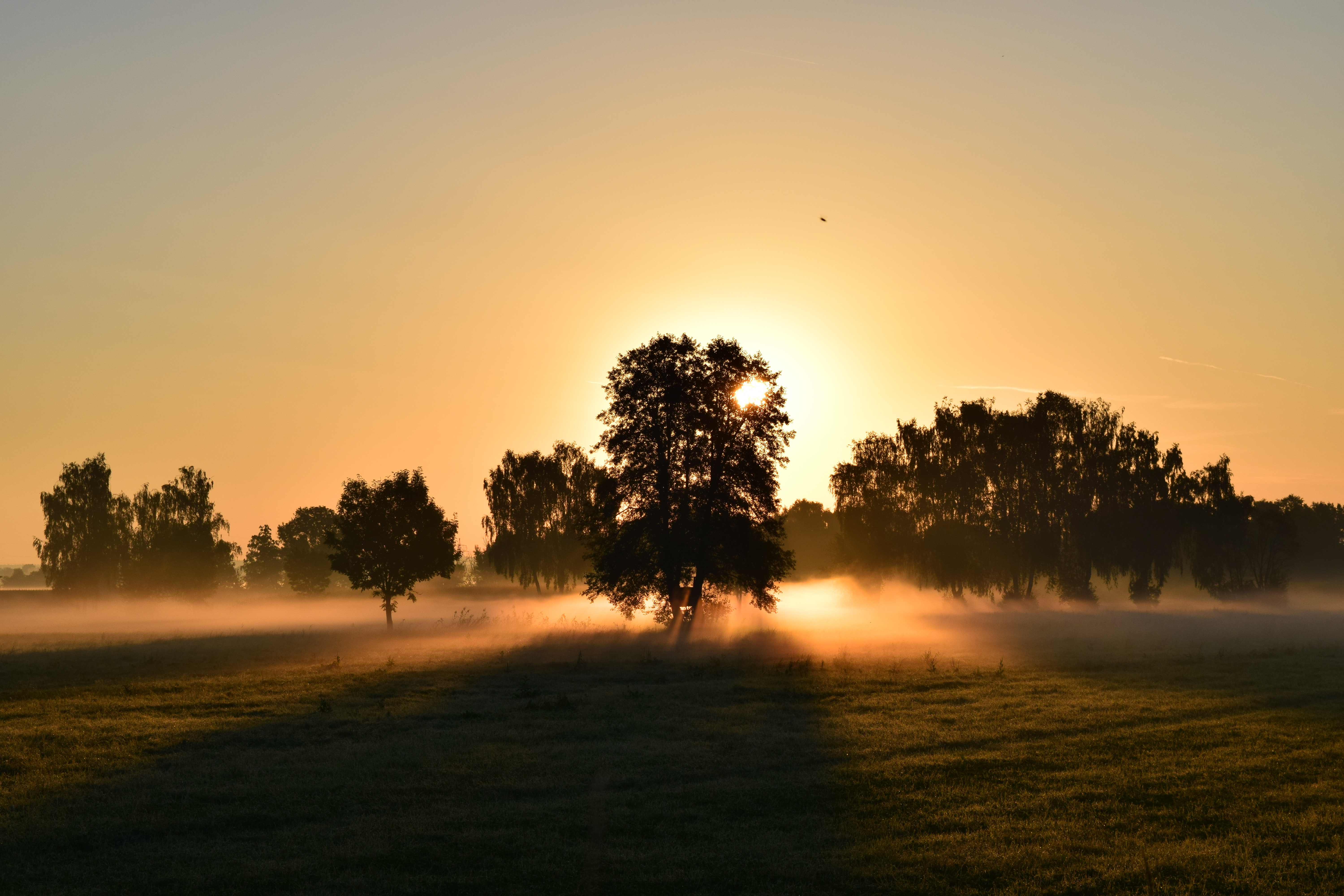 Фото бесплатно горизонт, восход солнца, атмосферное явление