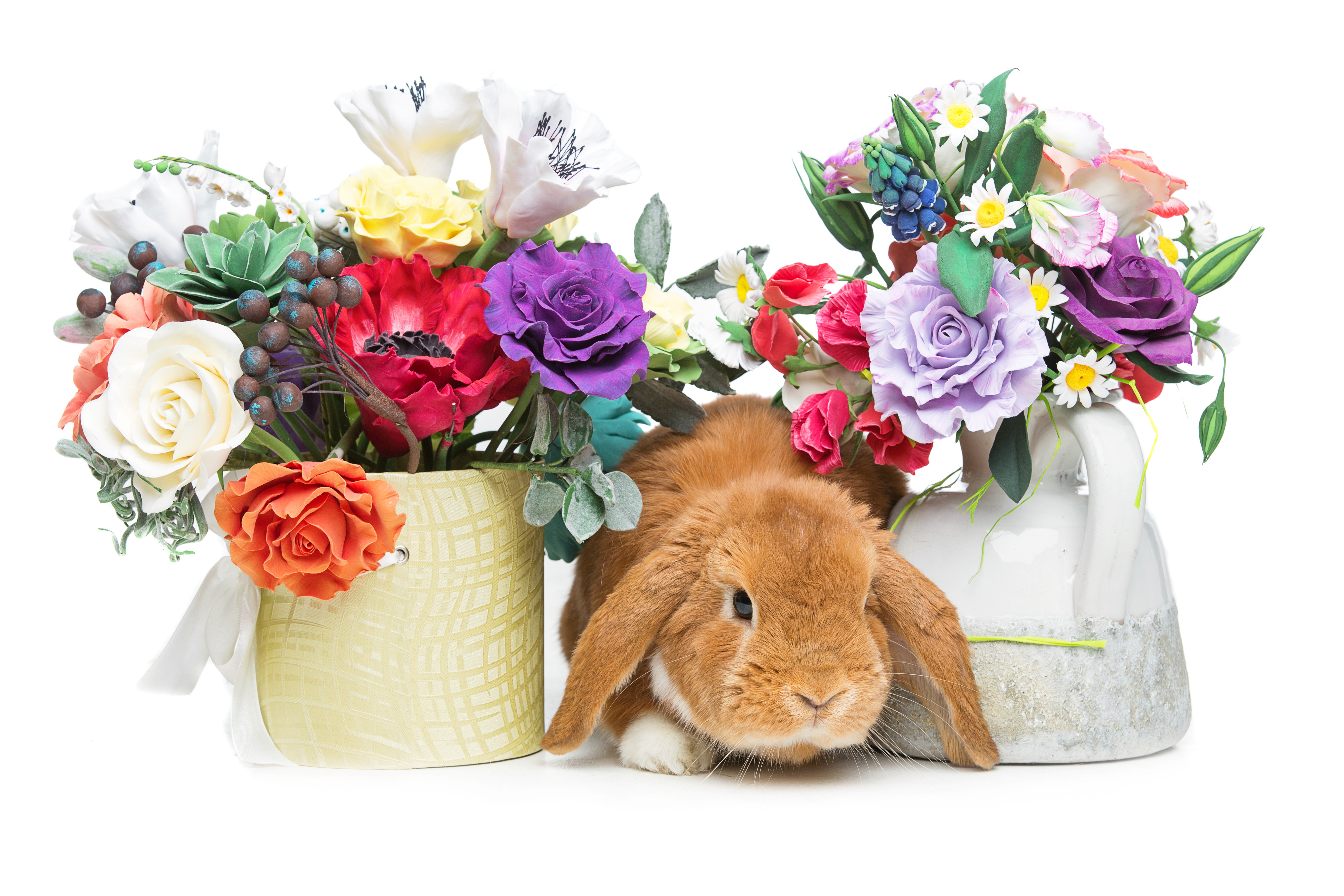 桌面上的壁纸兔子 花束 节日