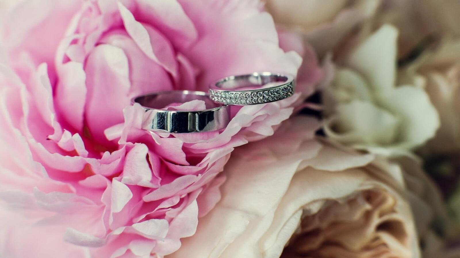 桌面上的壁纸婚礼 戒指 花