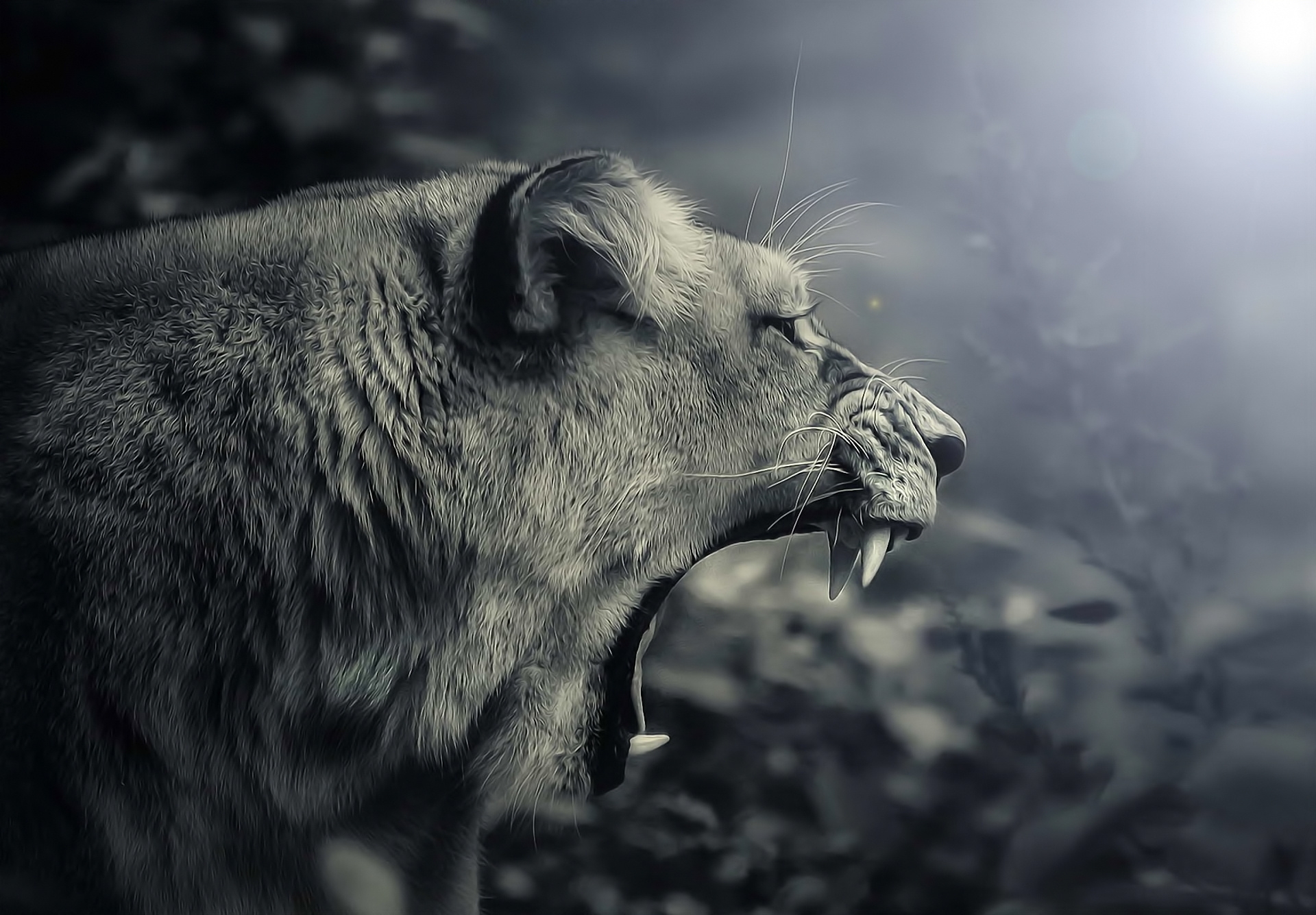 Фото бесплатно обои лев, рык, зубы