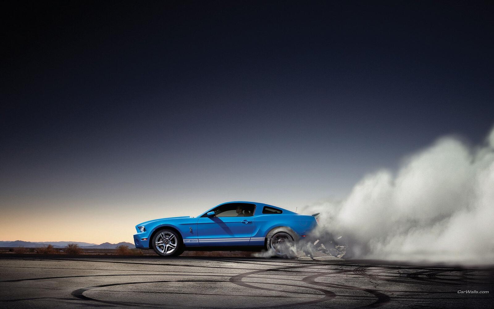 Wallpapers Ford Shelby blue on the desktop
