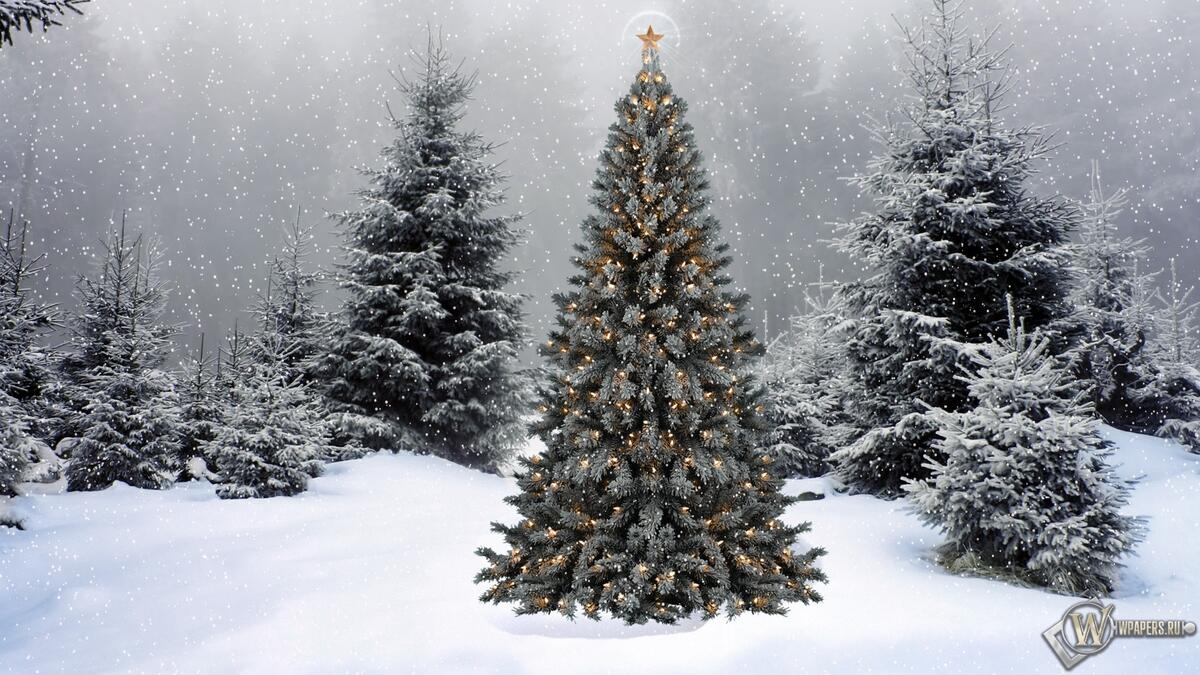 冬日森林中装饰一新的圣诞树