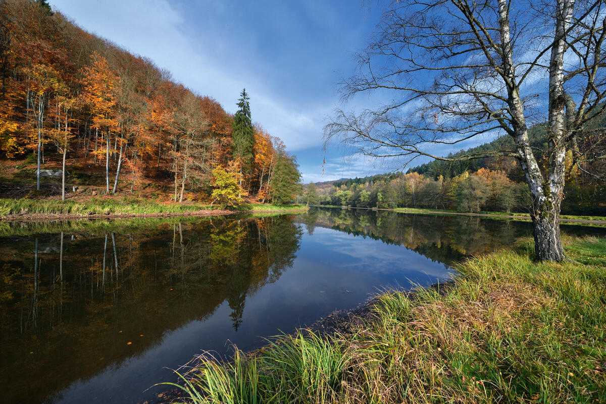 Фото бесплатно река, осень, лес - на рабочий стол