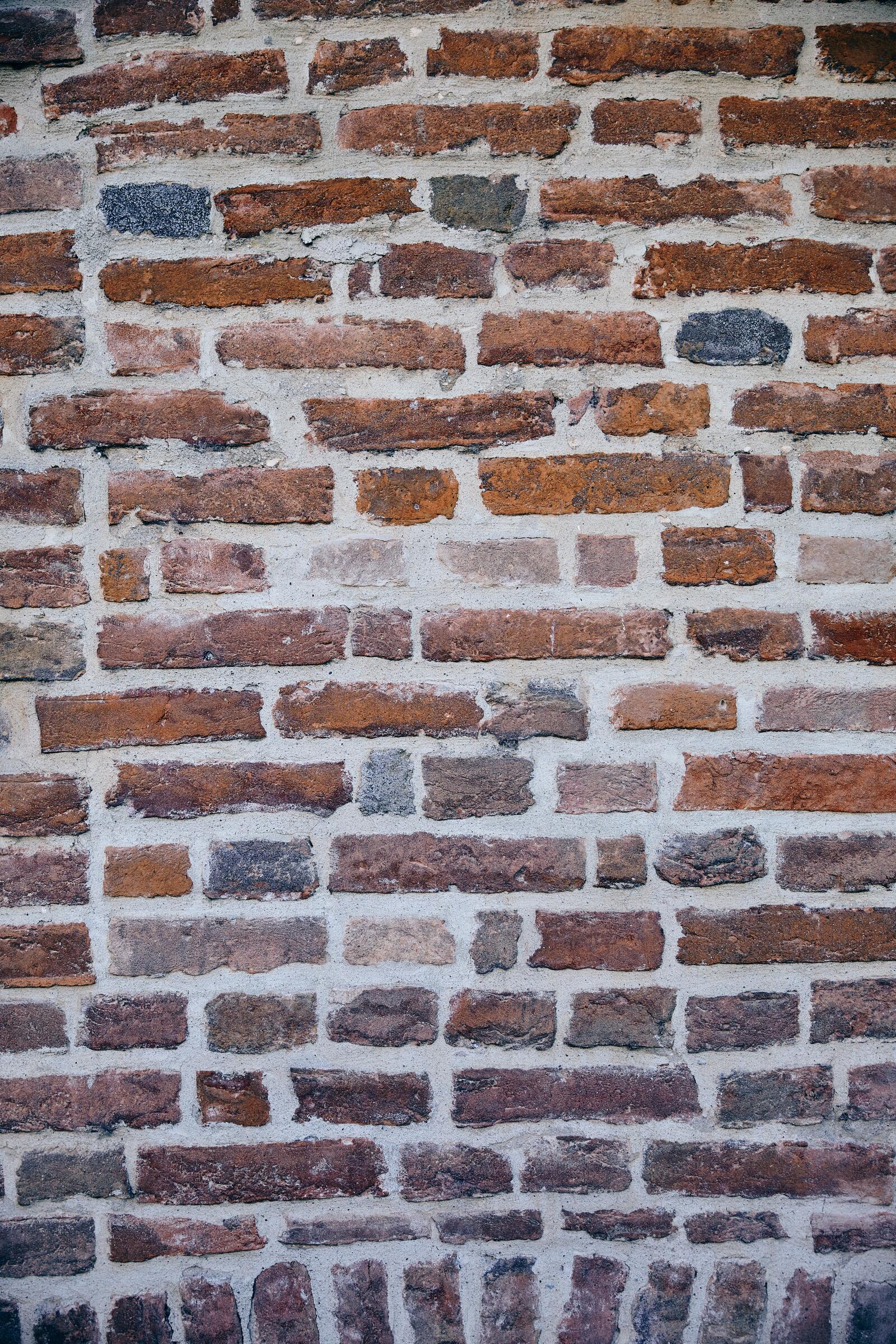 Free photo Gallery photo wall, brick