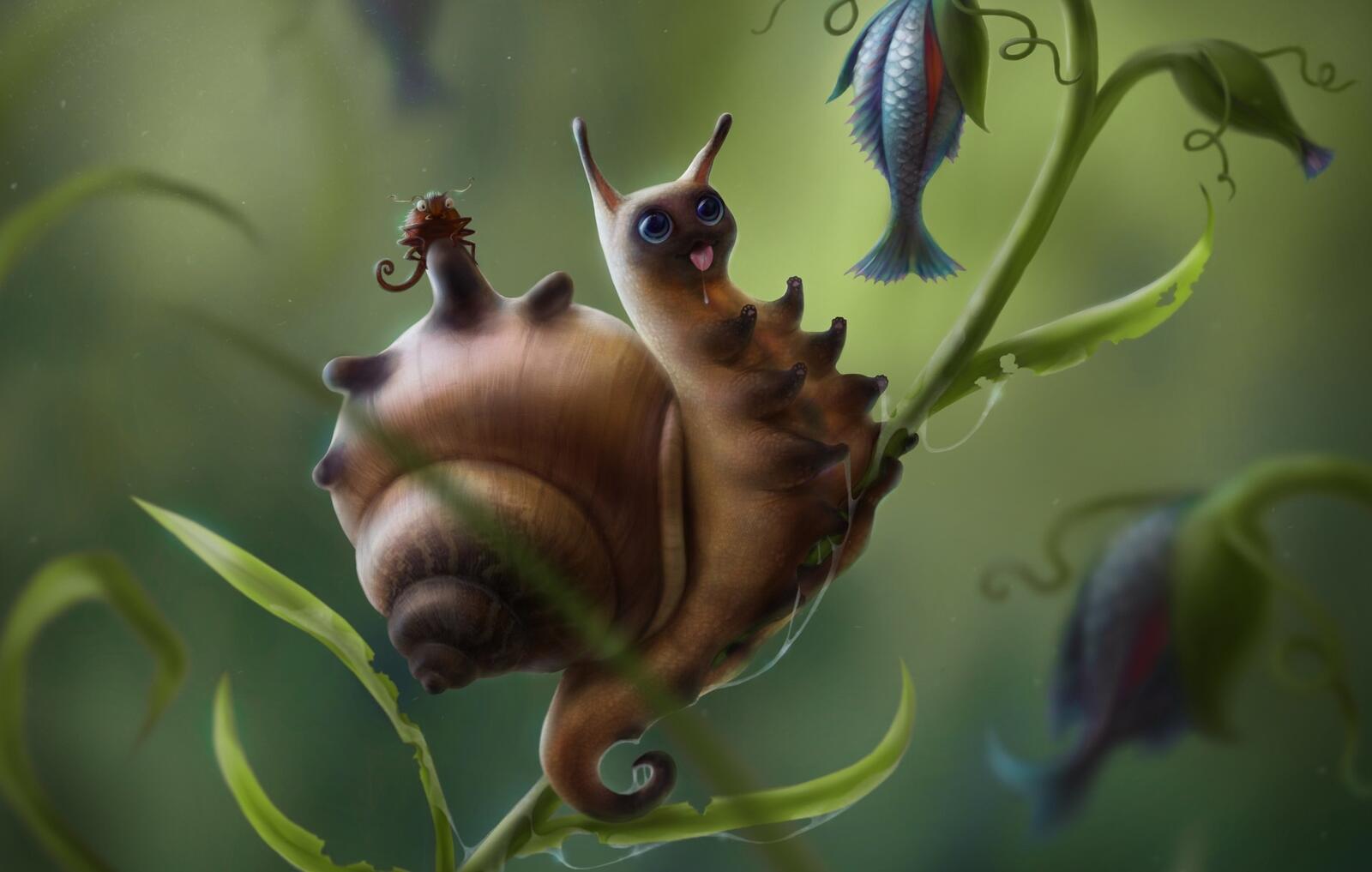 Wallpapers wallpaper snail cute plant on the desktop