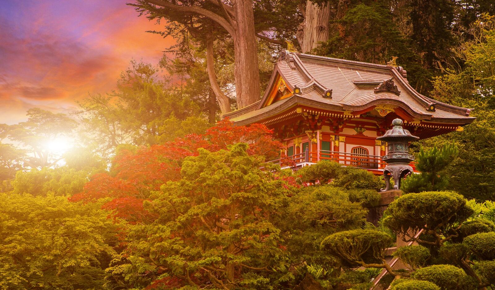 Wallpapers Japanese temple sunset San Francisco United States on the desktop
