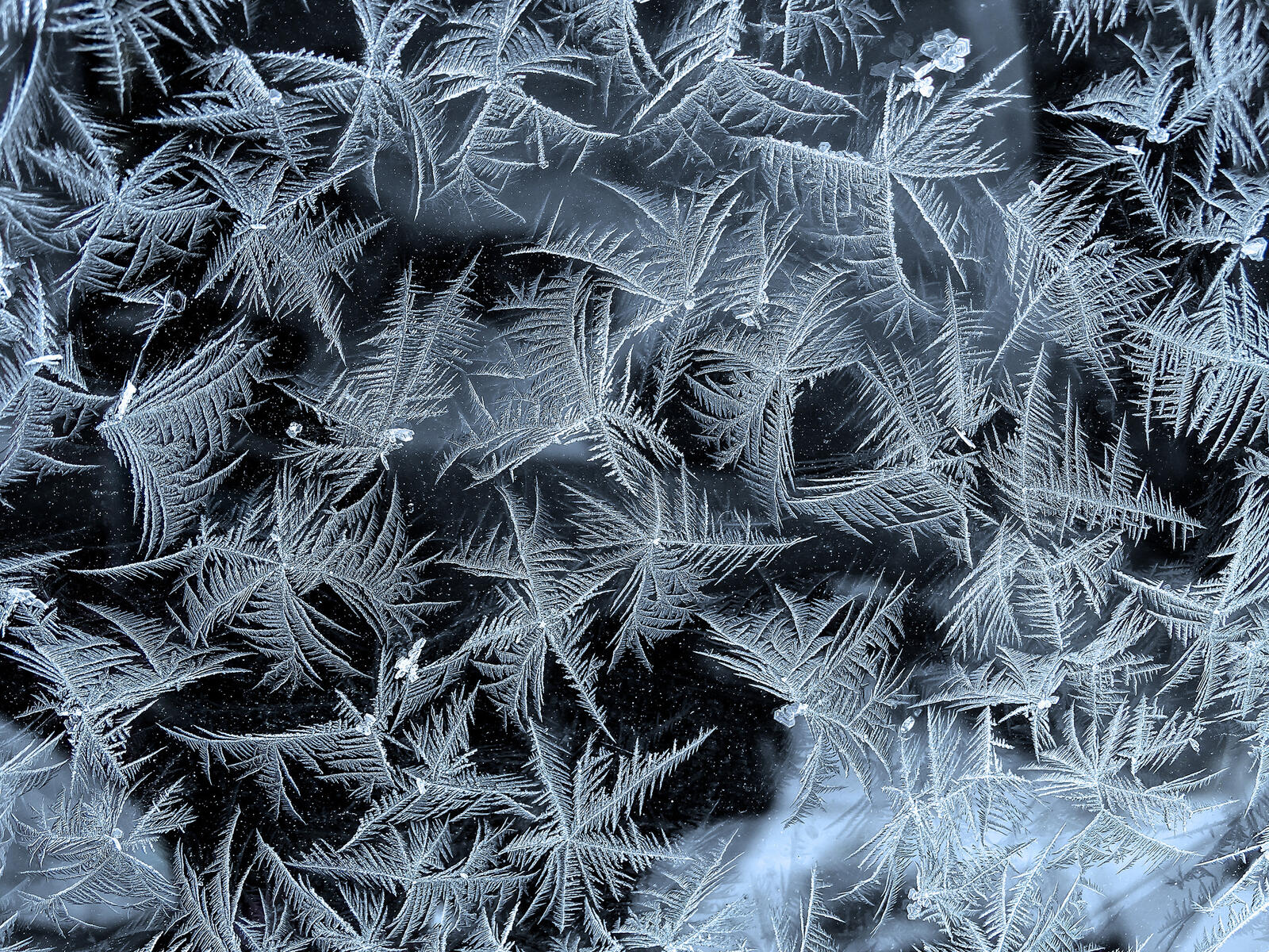 Wallpapers frozen glass glass frost on the desktop