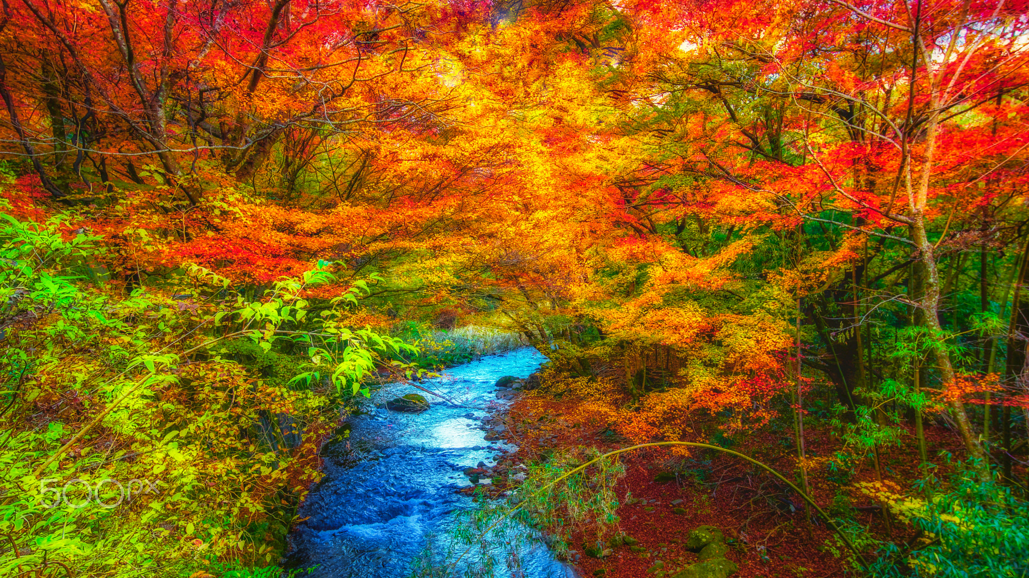 Screensaver river, fall on the monitor