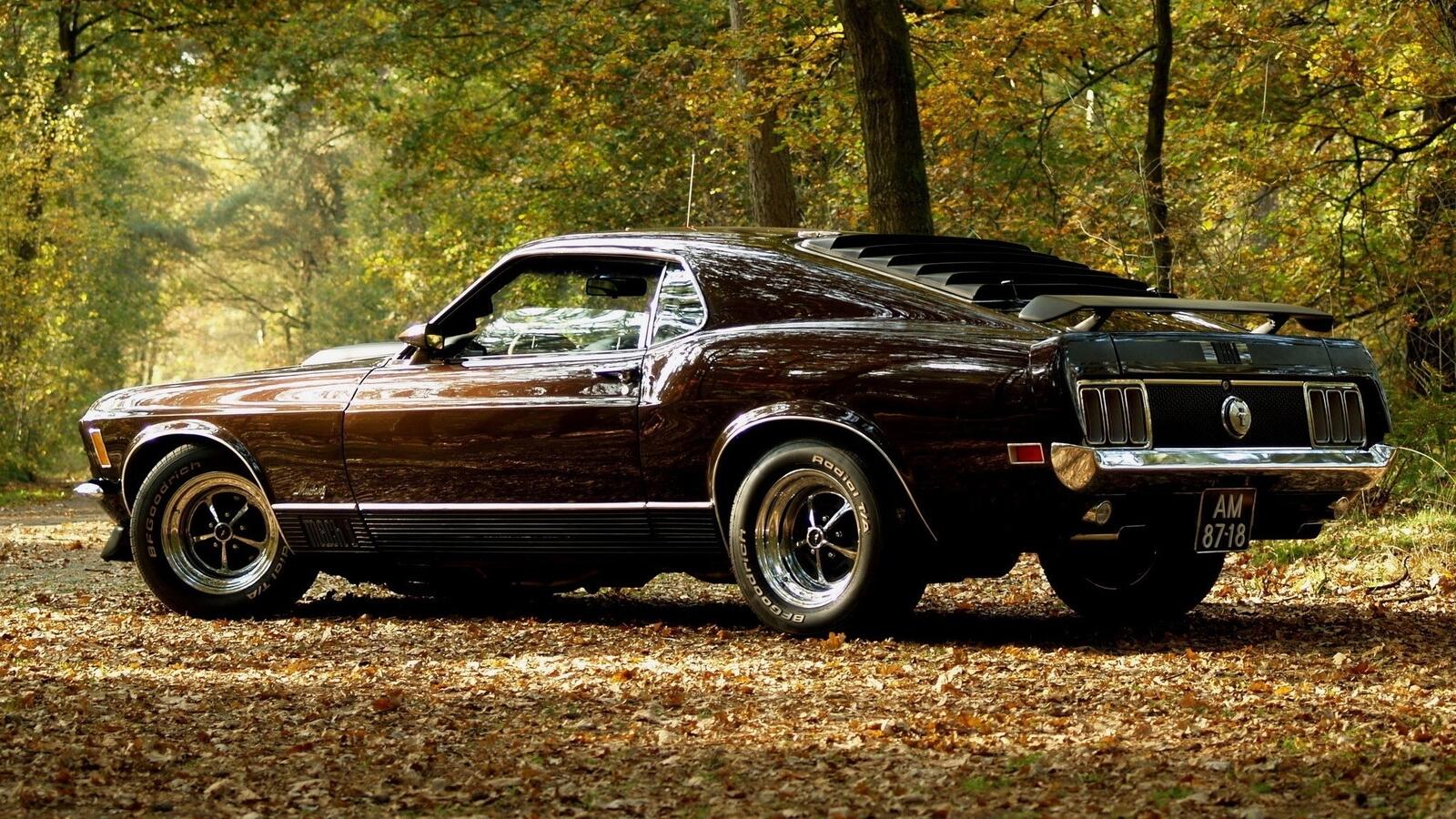 Free photo Ford mustang on the fall leaves.