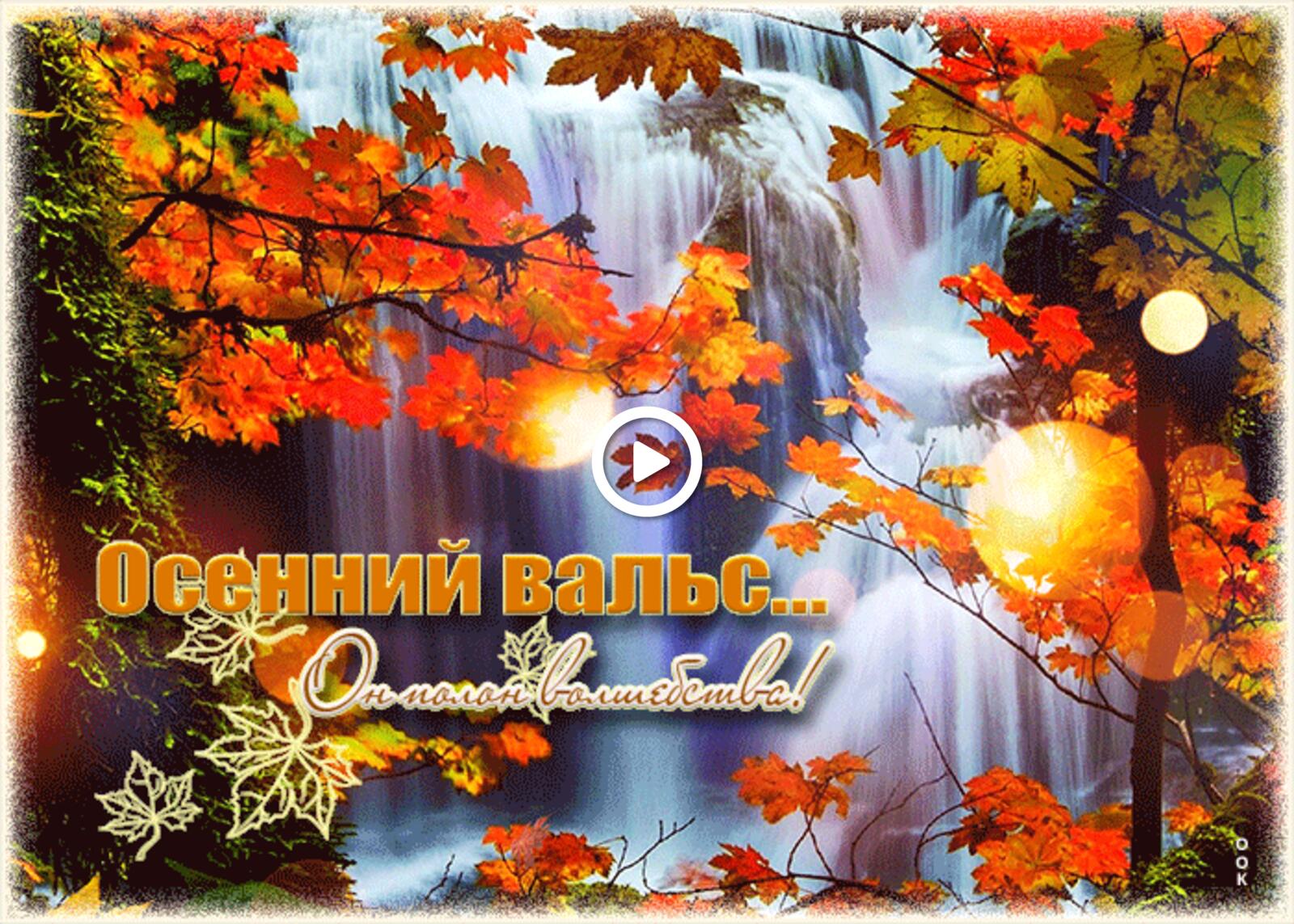 autumn with nature waterfall leaves