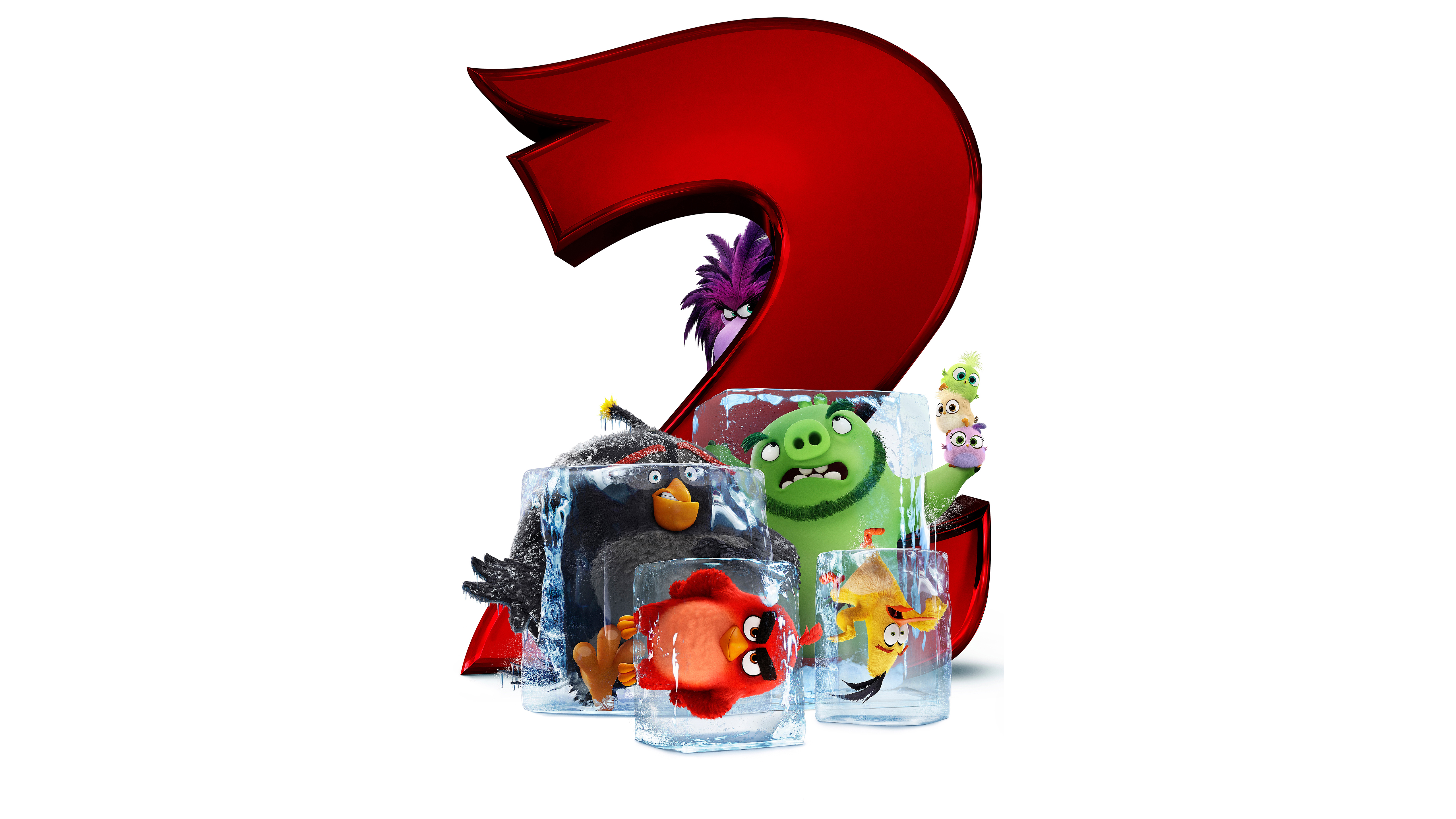 Wallpapers The Angry Birds 2 the angry birds movie 2 movies on the desktop