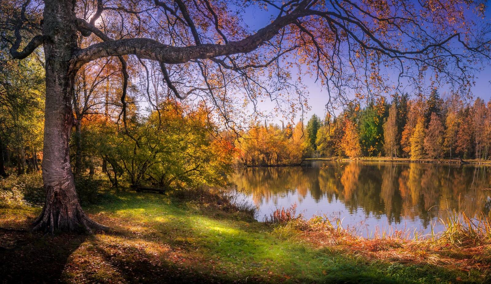 Wallpapers Finland autumn lake on the desktop