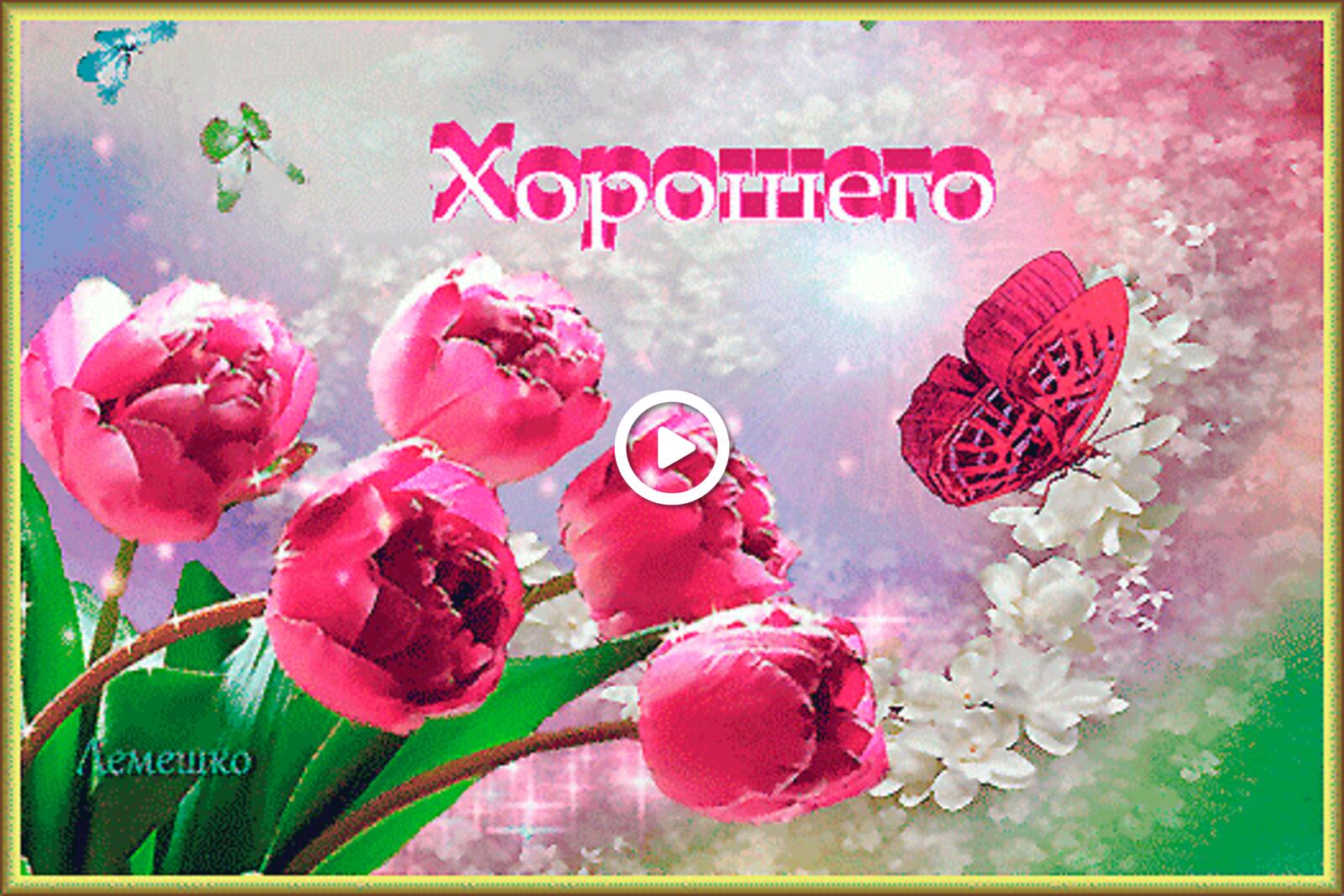 tulip bouquet red butterfly 3dtext