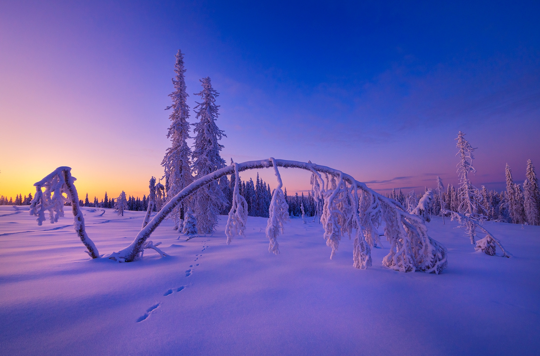 Закат в Финляндии зимой