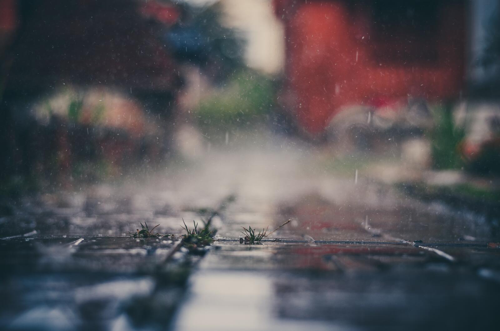 Обои дождь вода на открытом воздухе на рабочий стол