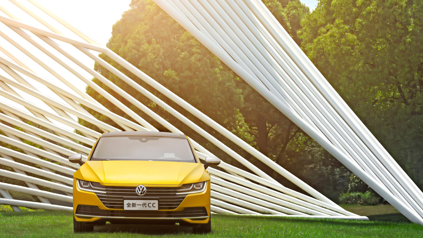 Wallpapers Volkswagen CС yellow on the lawn weed on the desktop