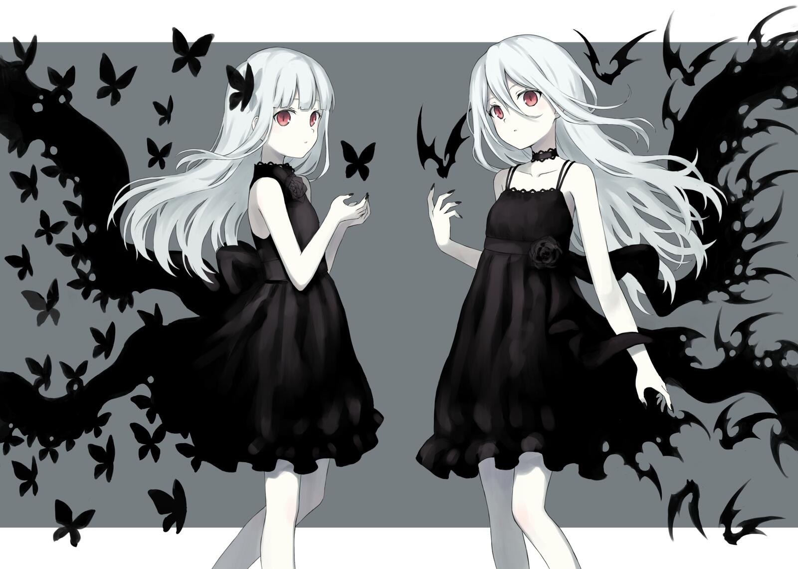 Free photo Two anime girls with ash hair in a black dress