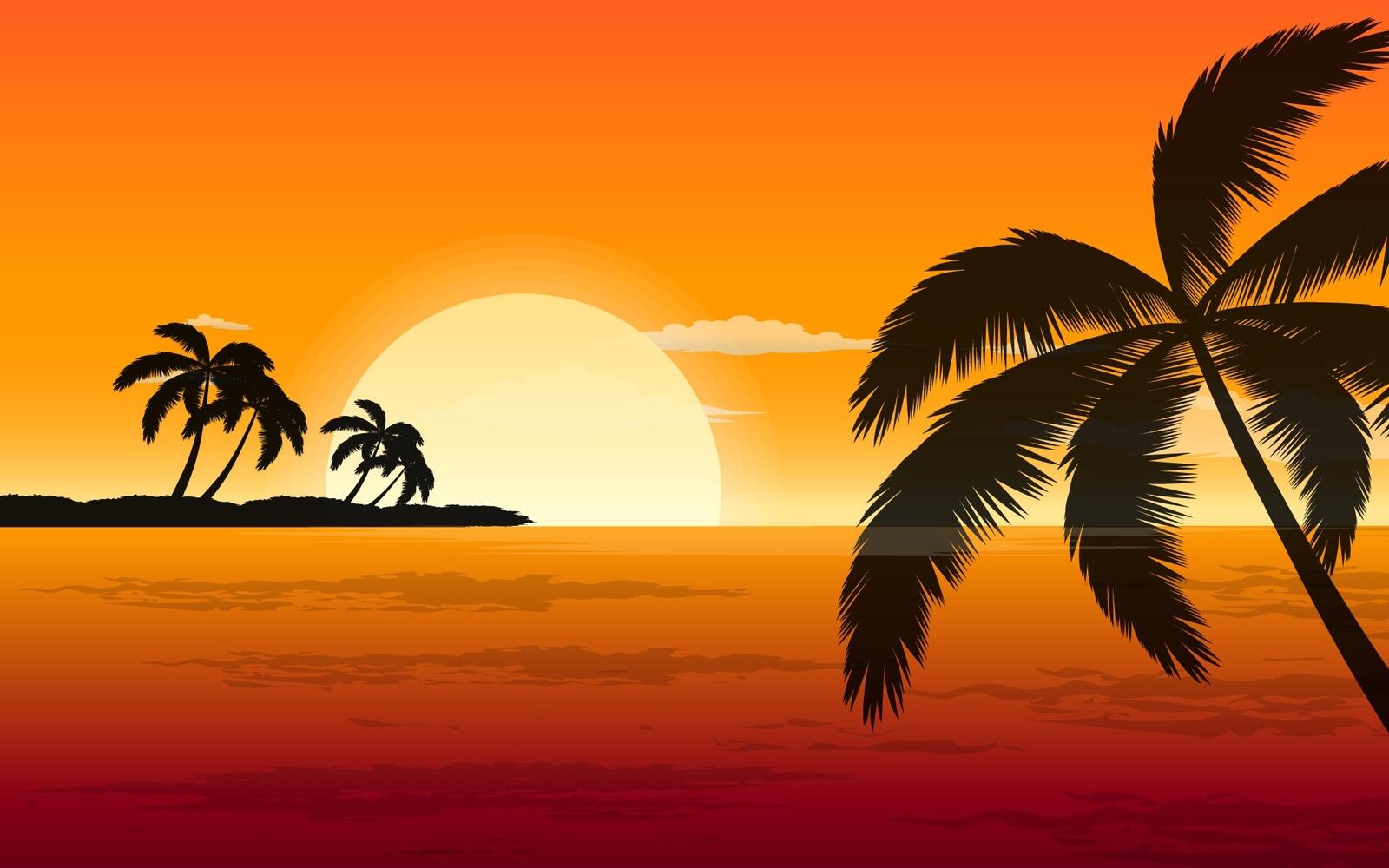 Wallpapers wallpaper beach palm sunset on the desktop