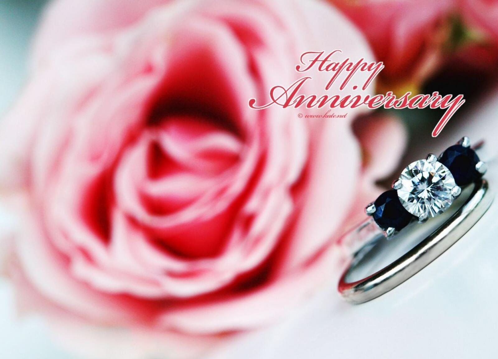 Wallpapers rose ring decoration on the desktop