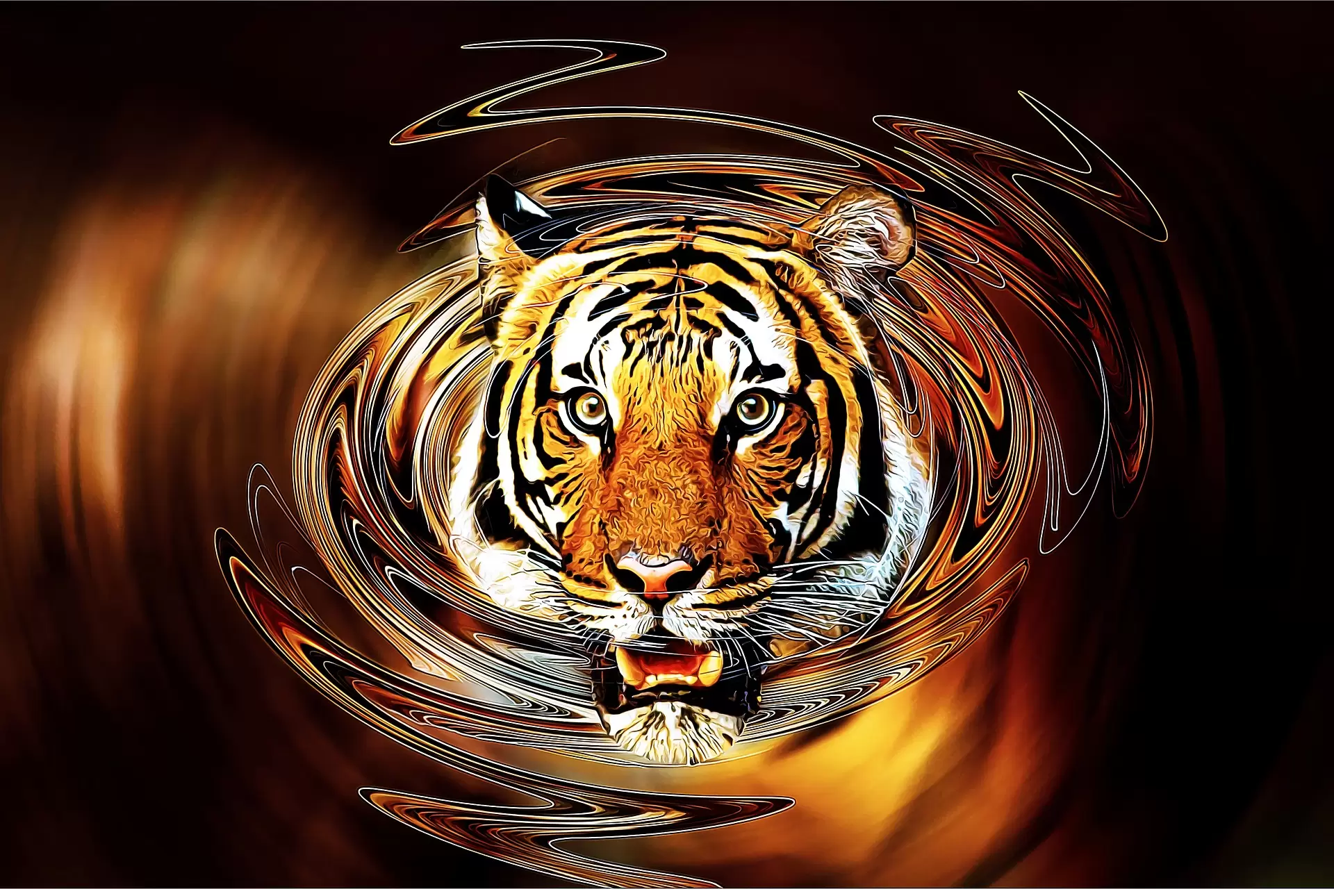 Wallpapers tiger rendering big cat on the desktop