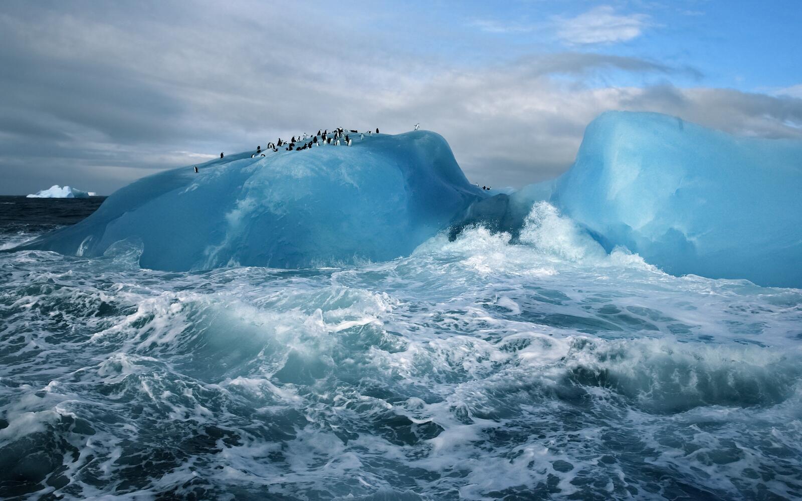 桌面上的壁纸冰河 企鹅 冰山