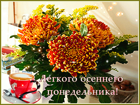Postcard free saucer, three orange chrysanthemums, coffee cup