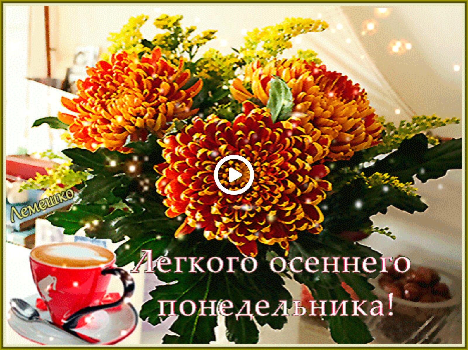 saucer three orange chrysanthemums coffee cup