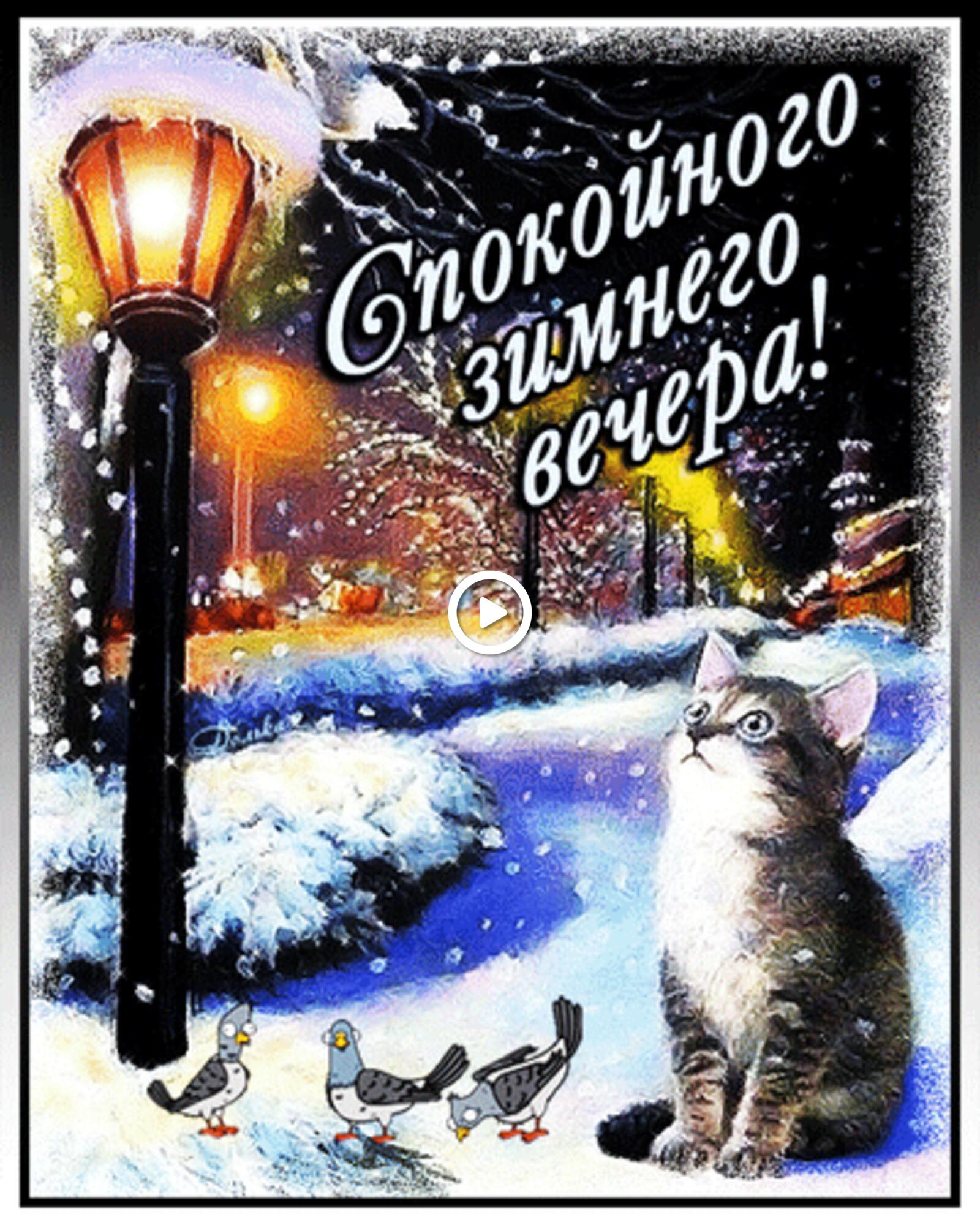 A postcard on the subject of kitten winter have a good winter`s evening for free