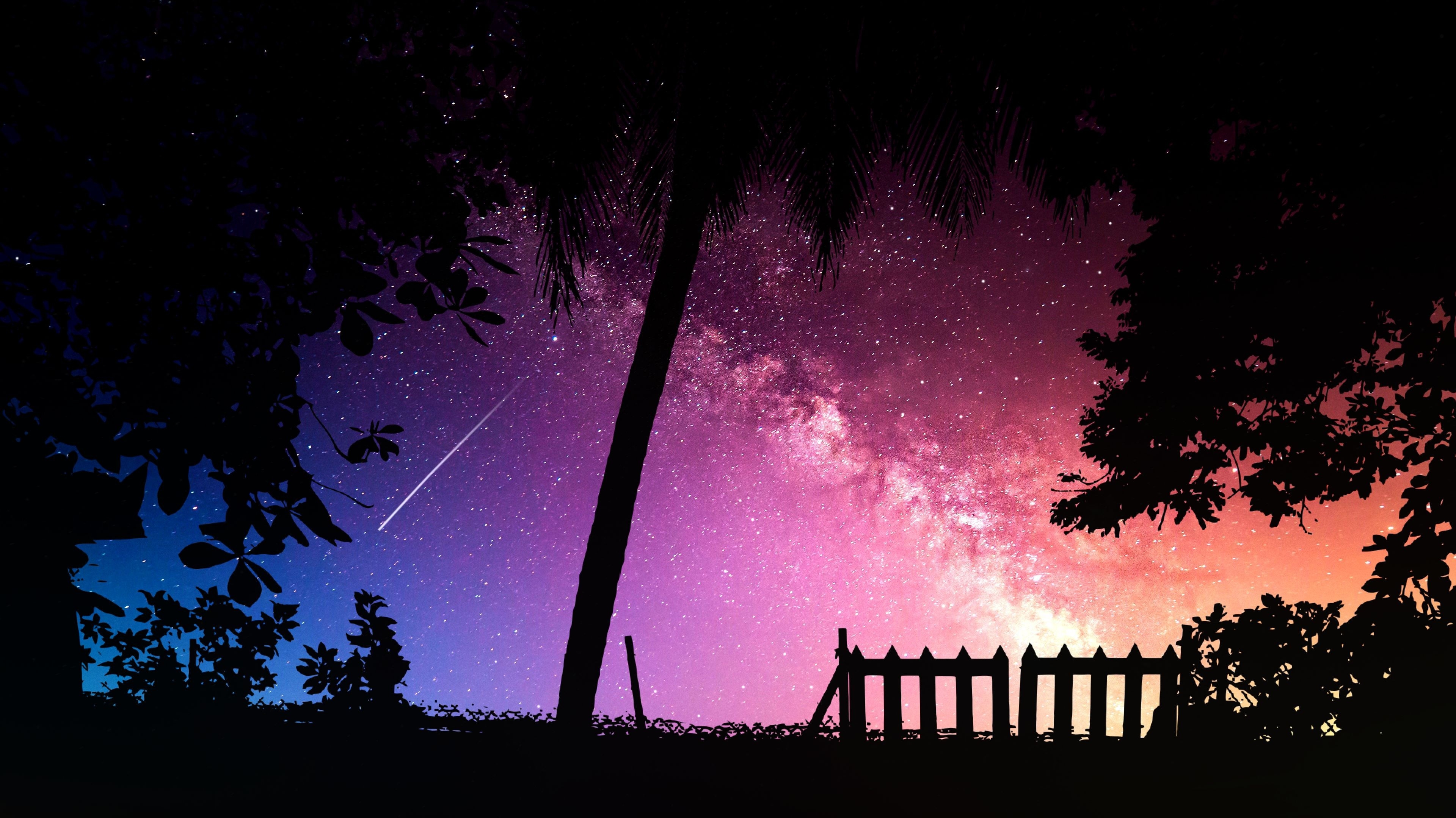 Фото бесплатно звезды, ночь, силуэт дерева