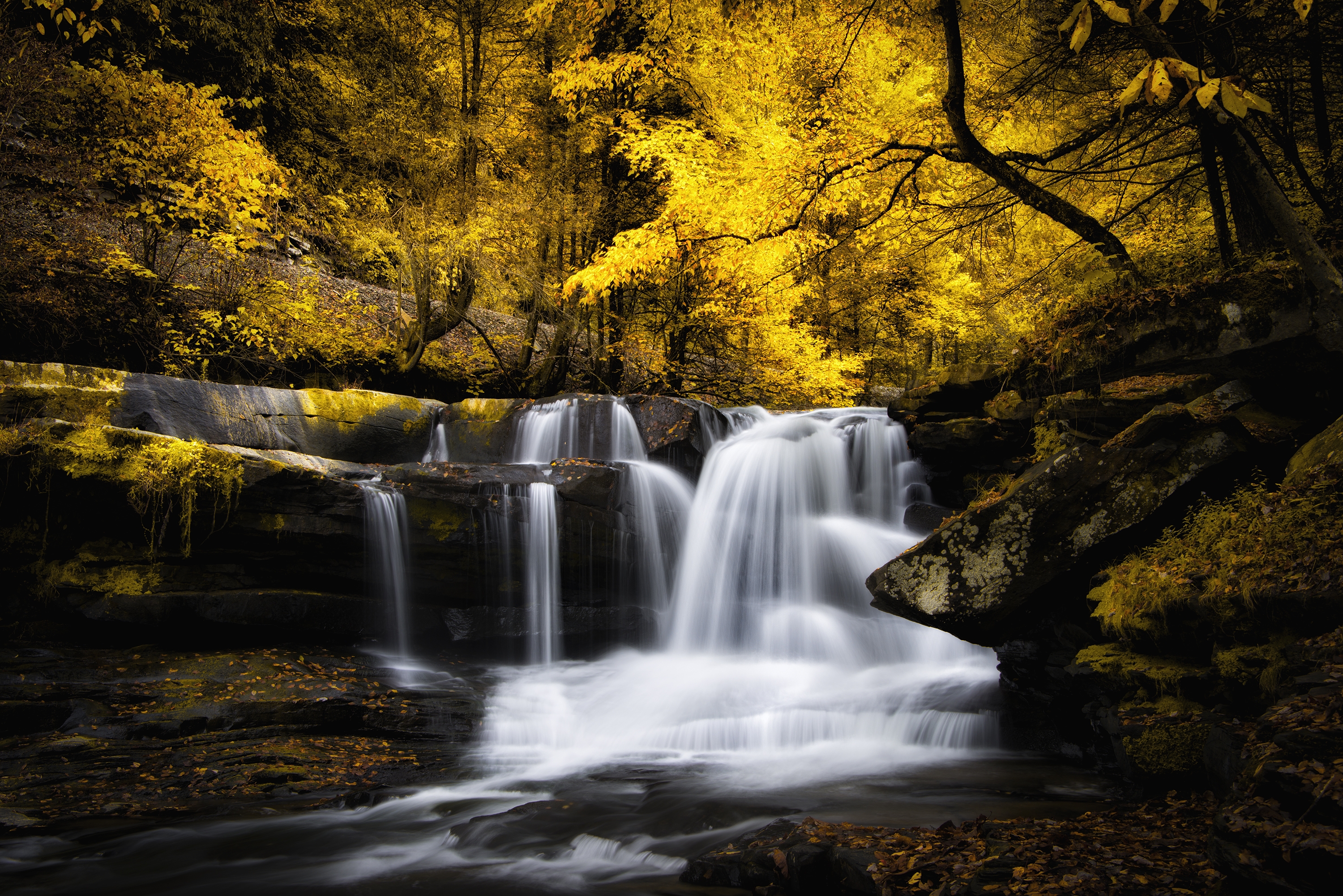 Wallpapers autumn yellow foliage landscapes on the desktop