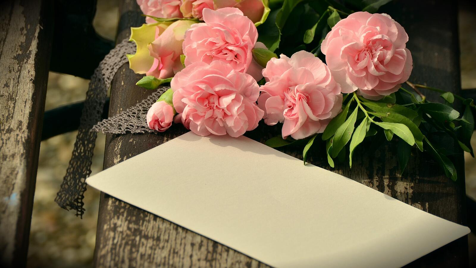 桌面上的壁纸花 栽种 花瓣