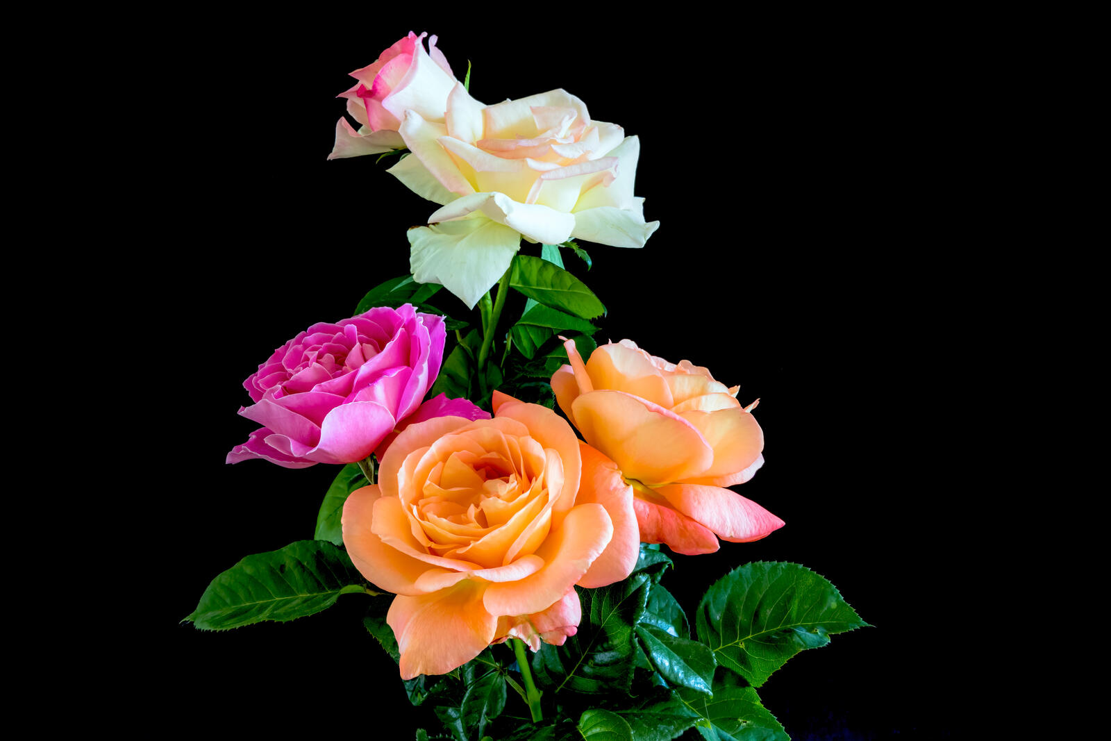 Бесплатное фото Букет из разноцветных роз
