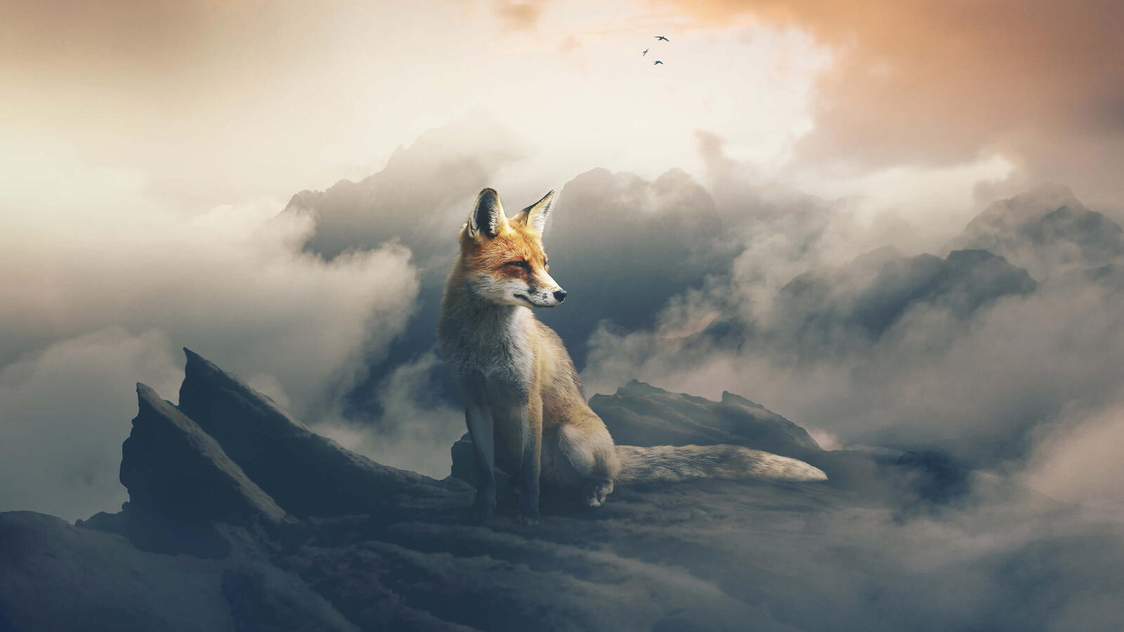 Wallpapers fox animals artist on the desktop