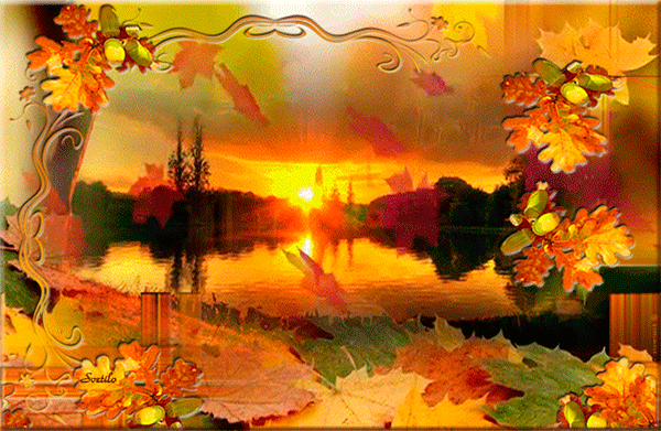 Postcard free lake, sunset, leaves