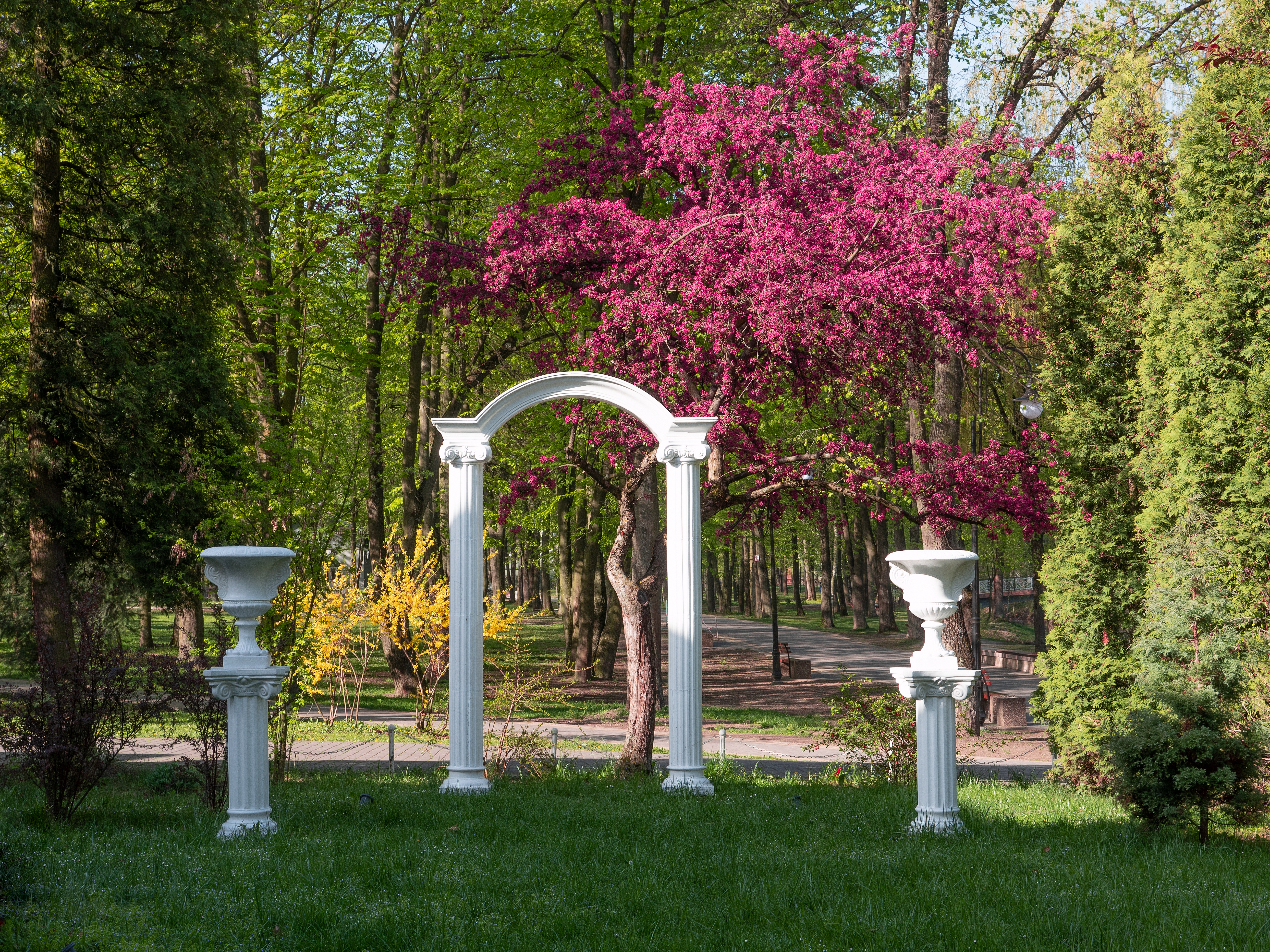 Photo free sculpture, arch, bloom