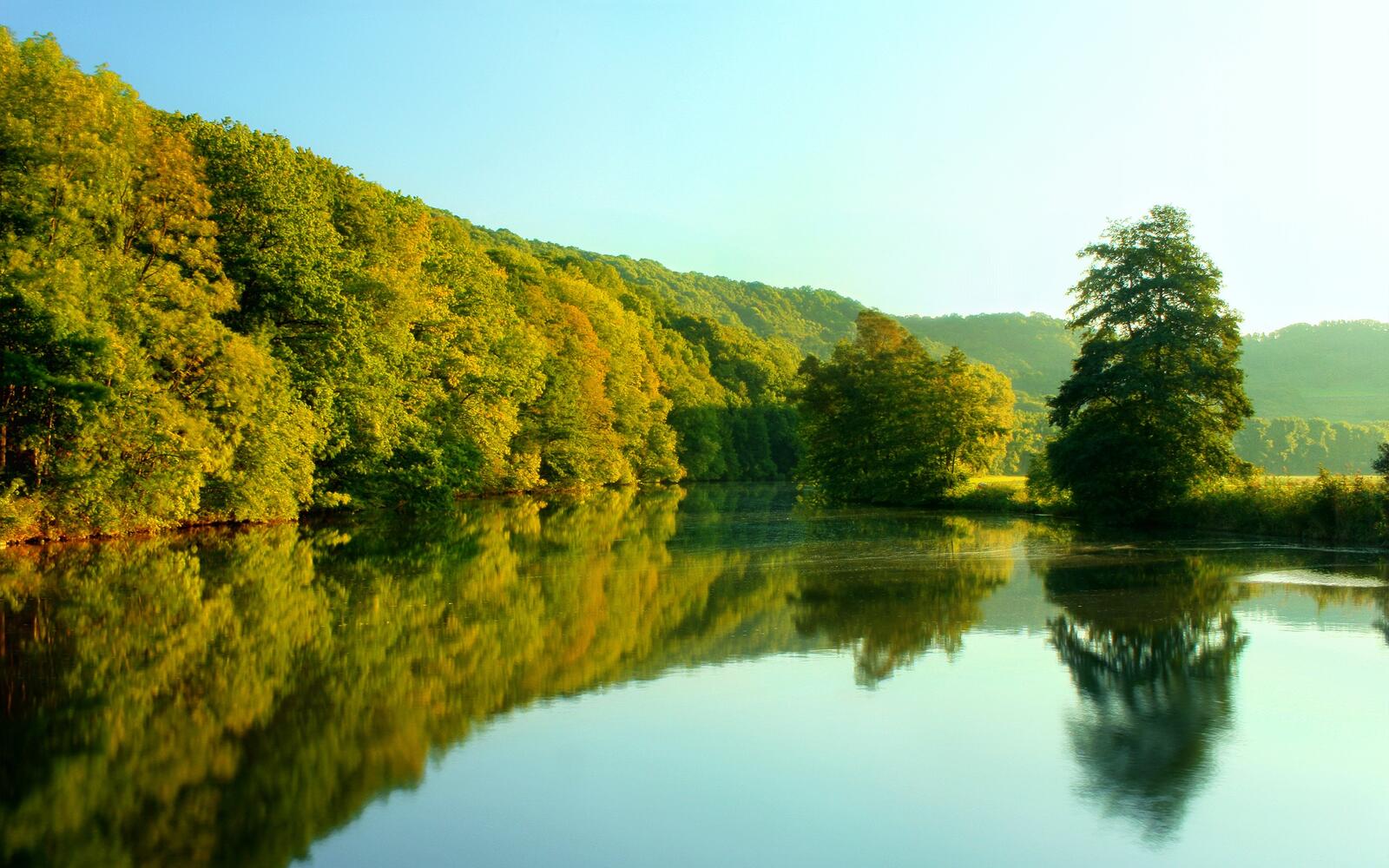 Бесплатное фото Река вдоль летнего леса