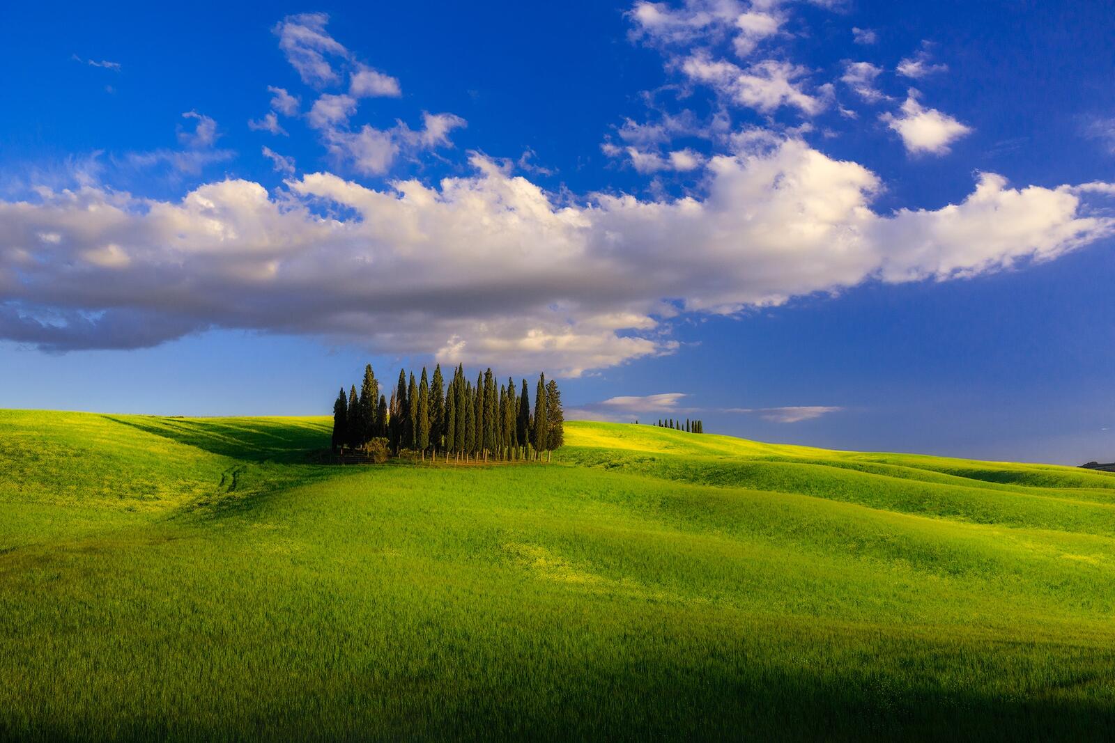Wallpapers tuscany field hills on the desktop