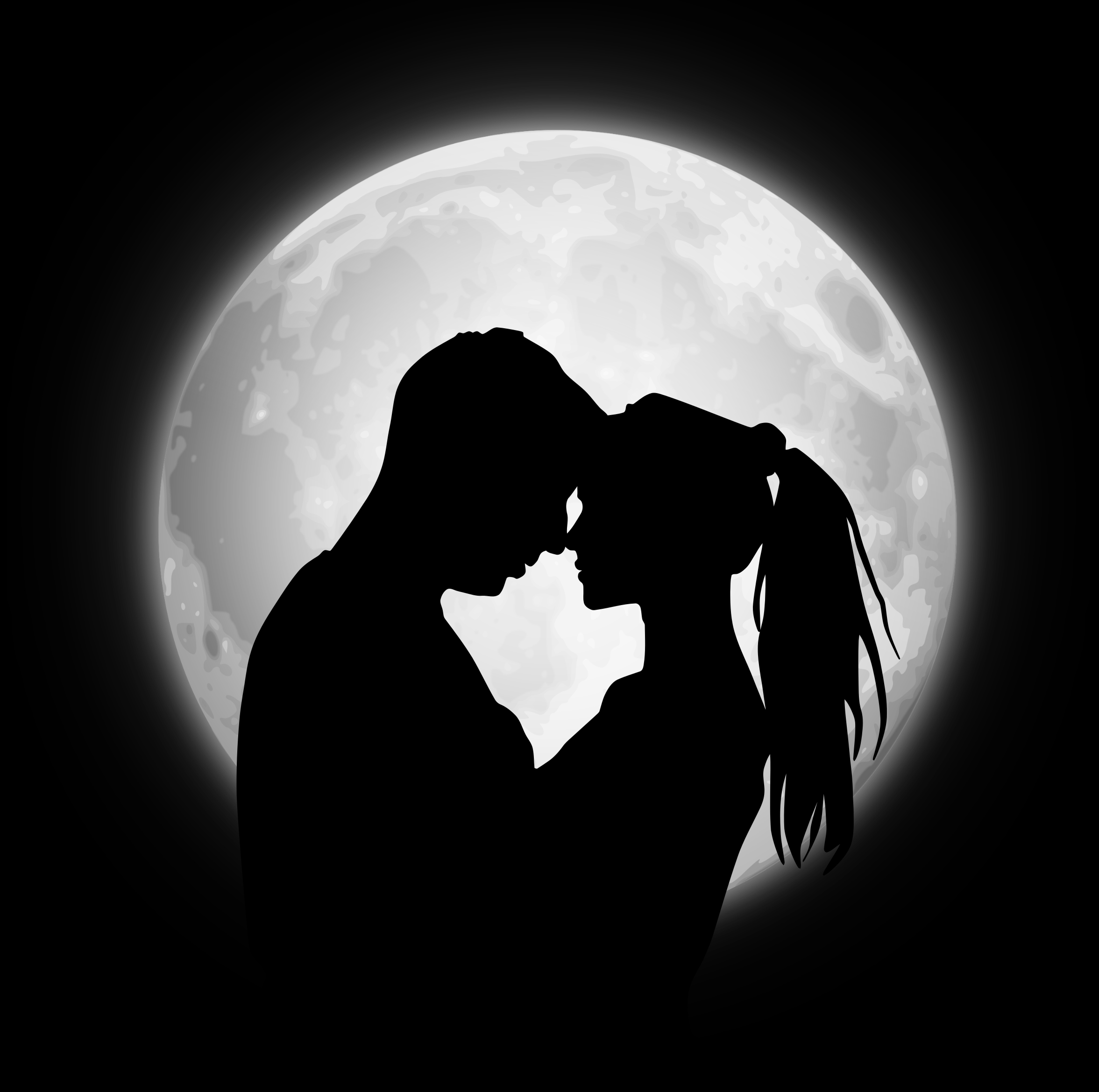 Wallpapers couple silhouettes moon on the desktop