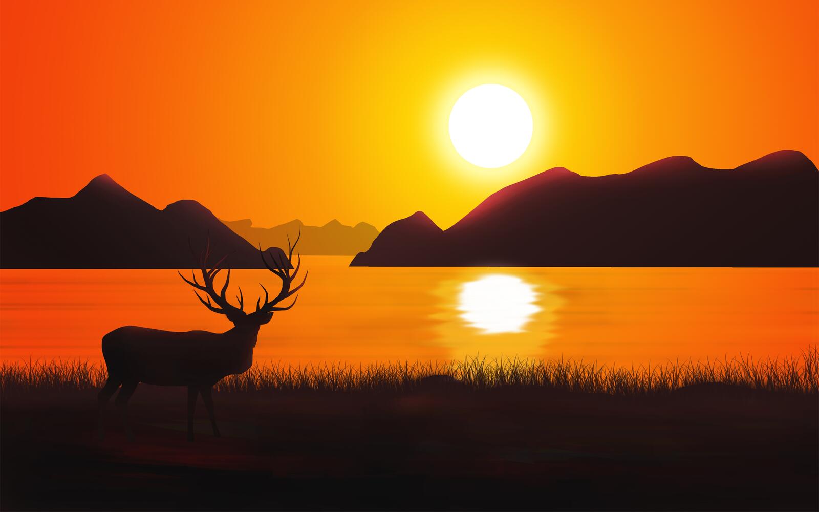 Wallpapers deer sunset silhouette on the desktop