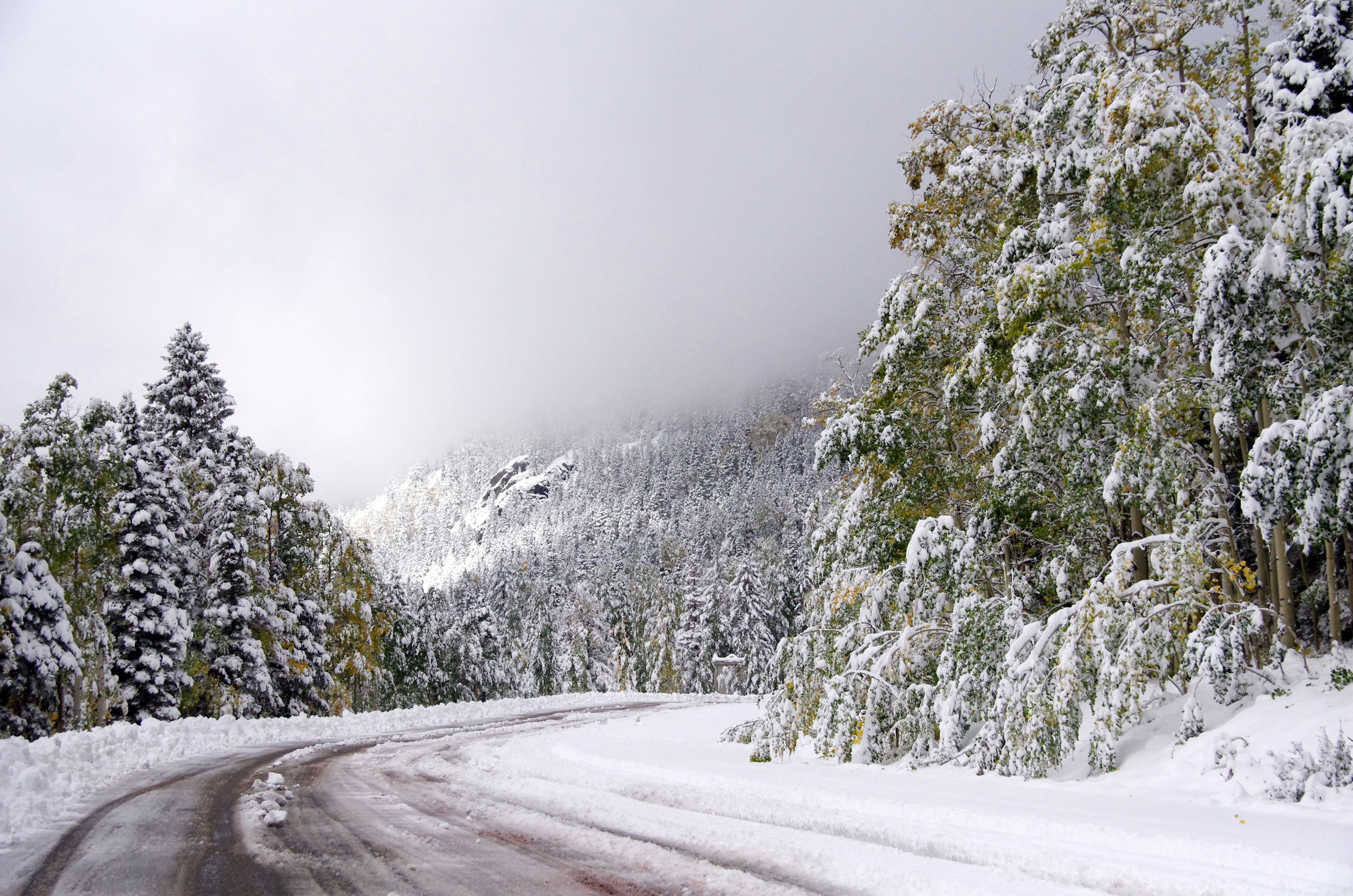 Фото бесплатно обои снег, зимняя дорога, дорога