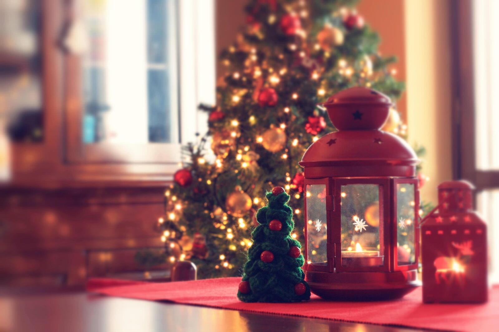 Обои рождественская елка фонарь интерьер дома на рабочий стол
