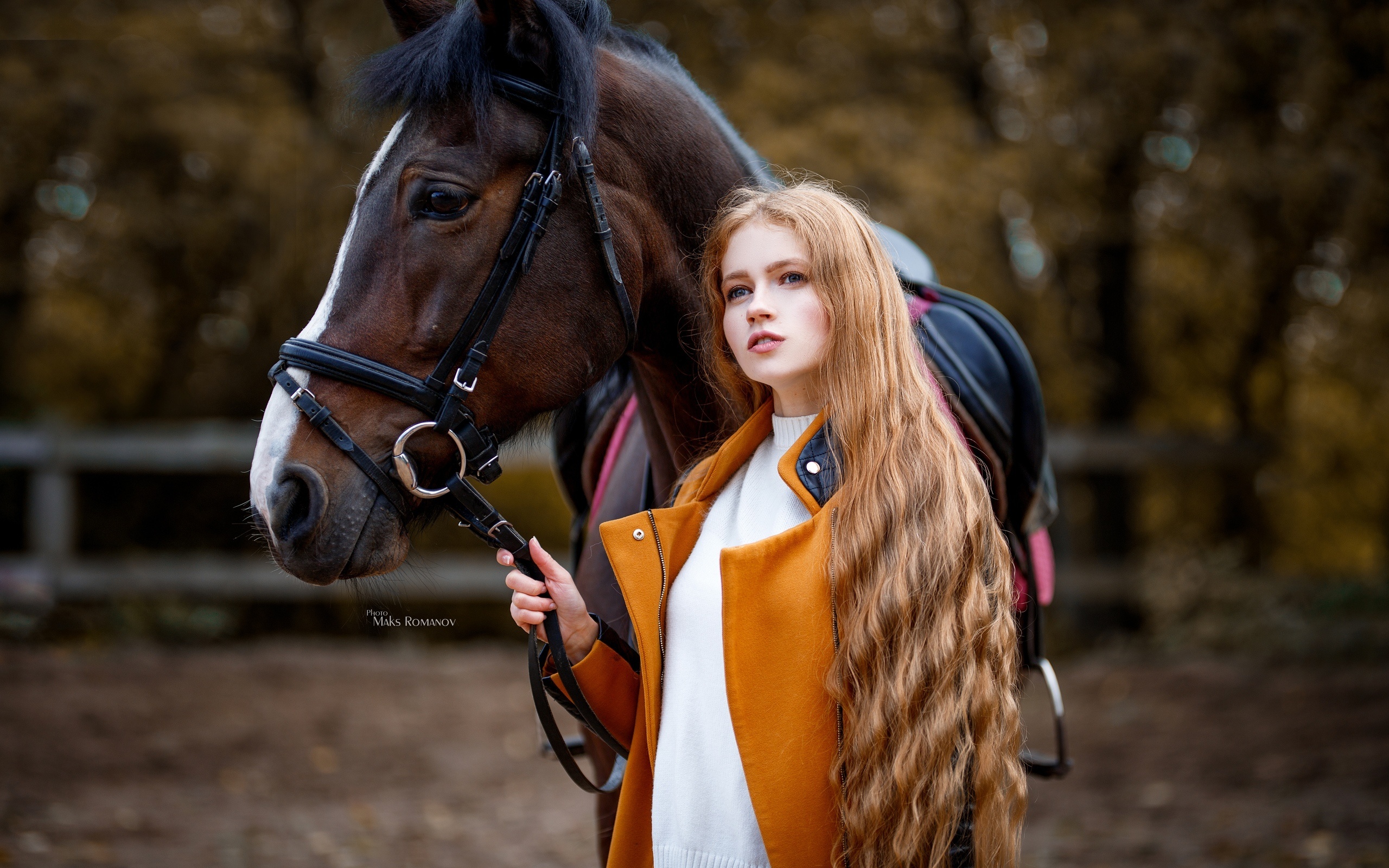 Обои девушки лошади коричневые волосы на рабочий стол