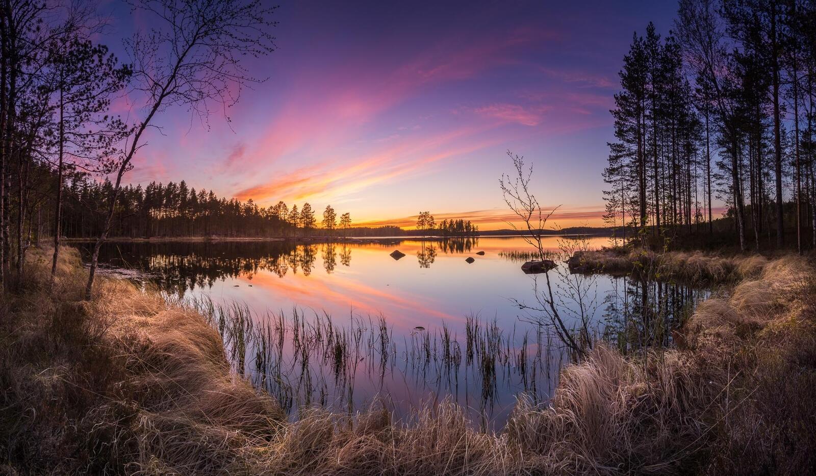 Обои Финляндия лес озеро на рабочий стол