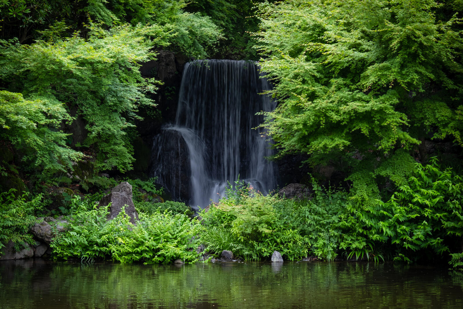 Обои Япония Экспо Мемориальный Парк водопад на рабочий стол