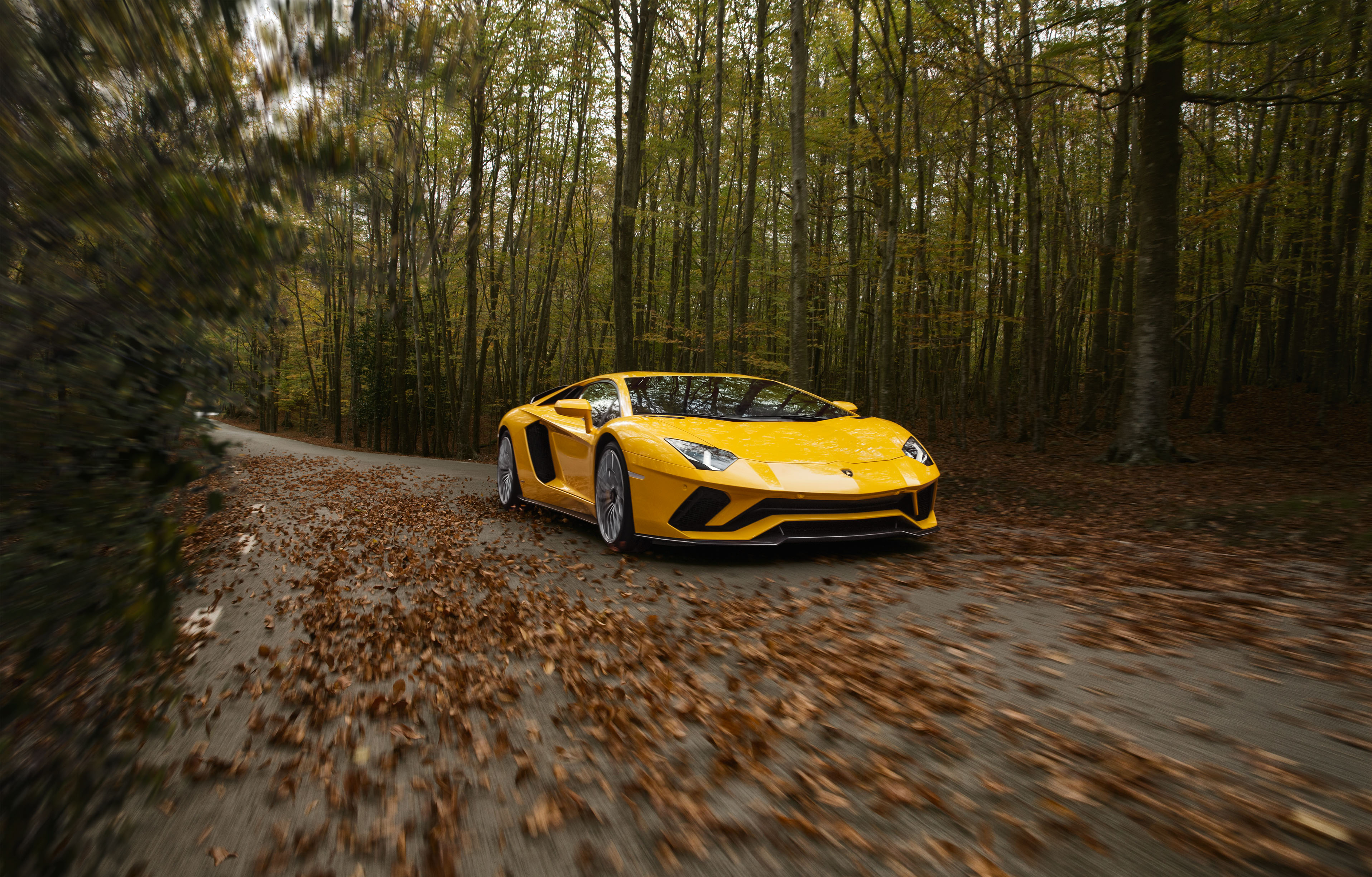 Free photo Yellow Lamborghini Aventador rides on fallen leaves